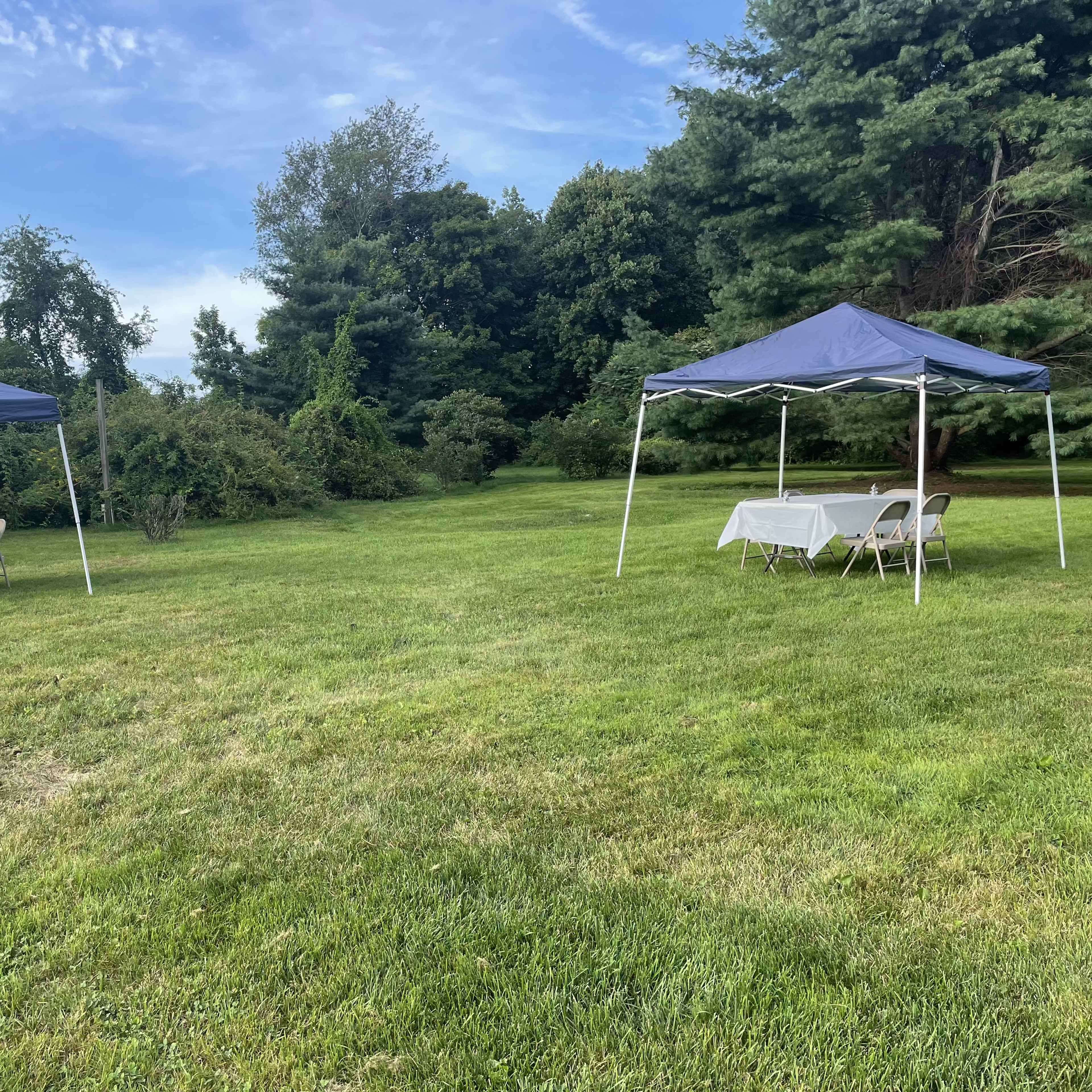 Two blue canopies are set up on a grassy area, each with tables and chairs underneath, surrounded by trees.