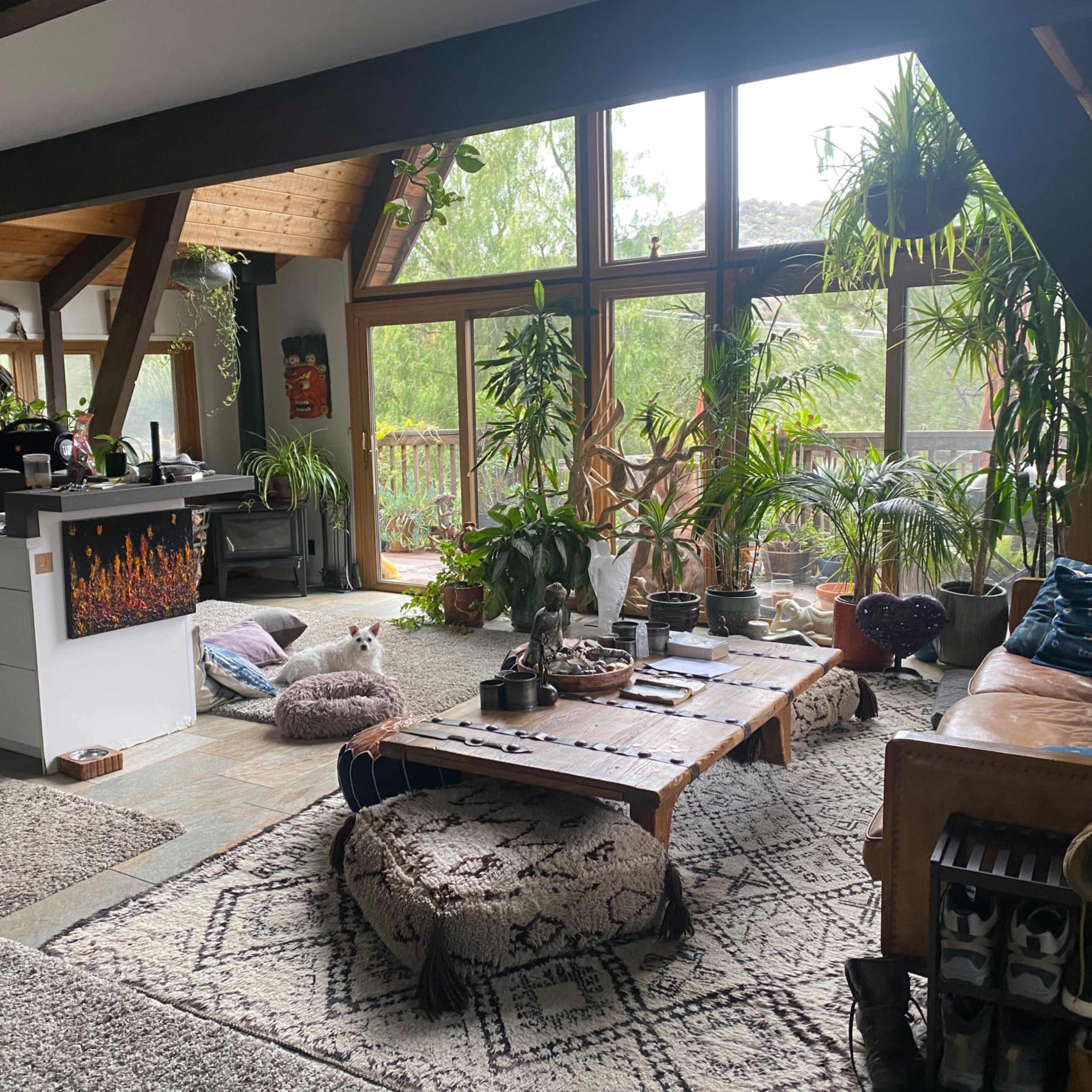 A spacious living area features large windows, plants throughout, a coffee table in the center, and a cozy seating arrangement.