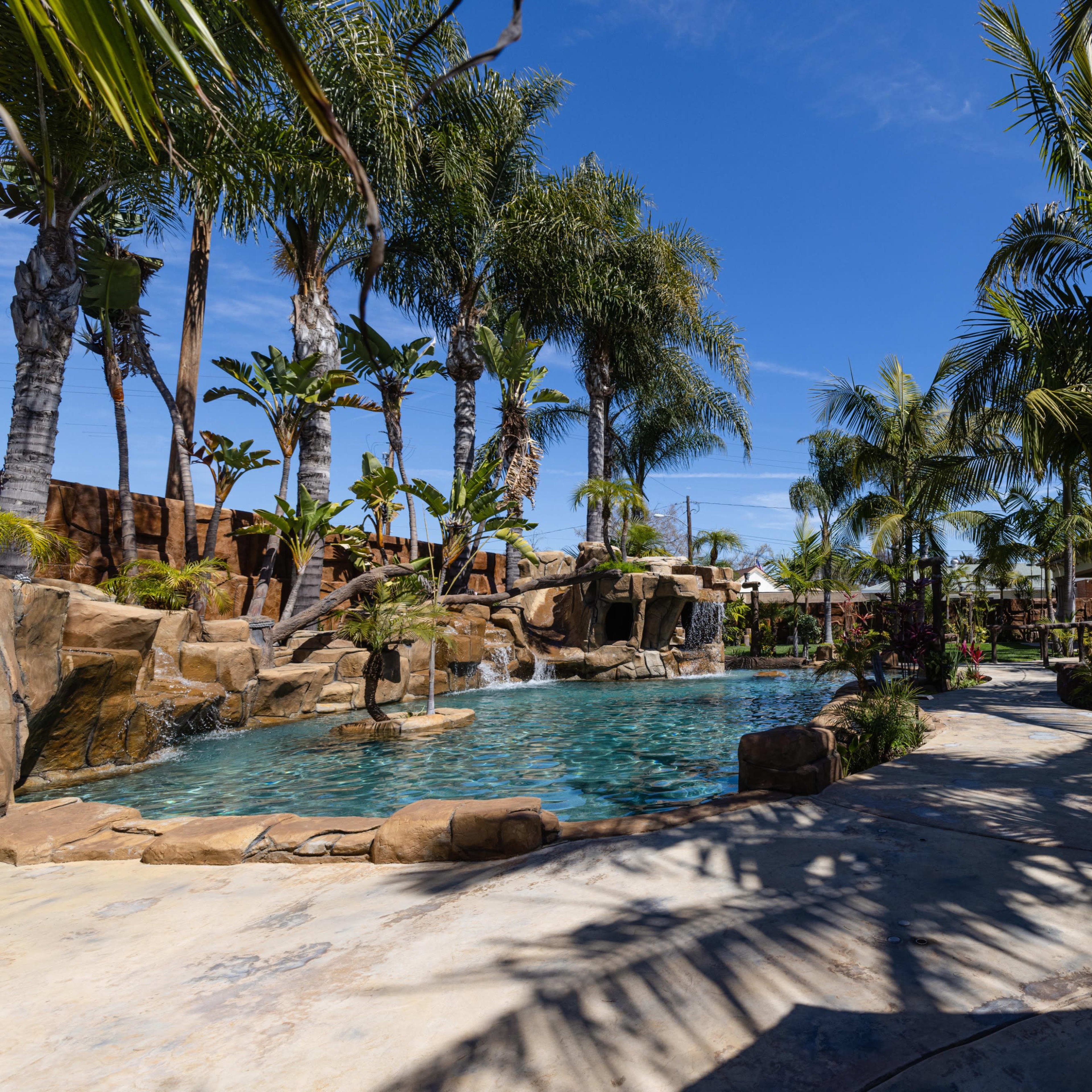 A landscaped backyard features a swimming pool surrounded by rocks, palm trees, and tropical plants under a clear blue sky.
