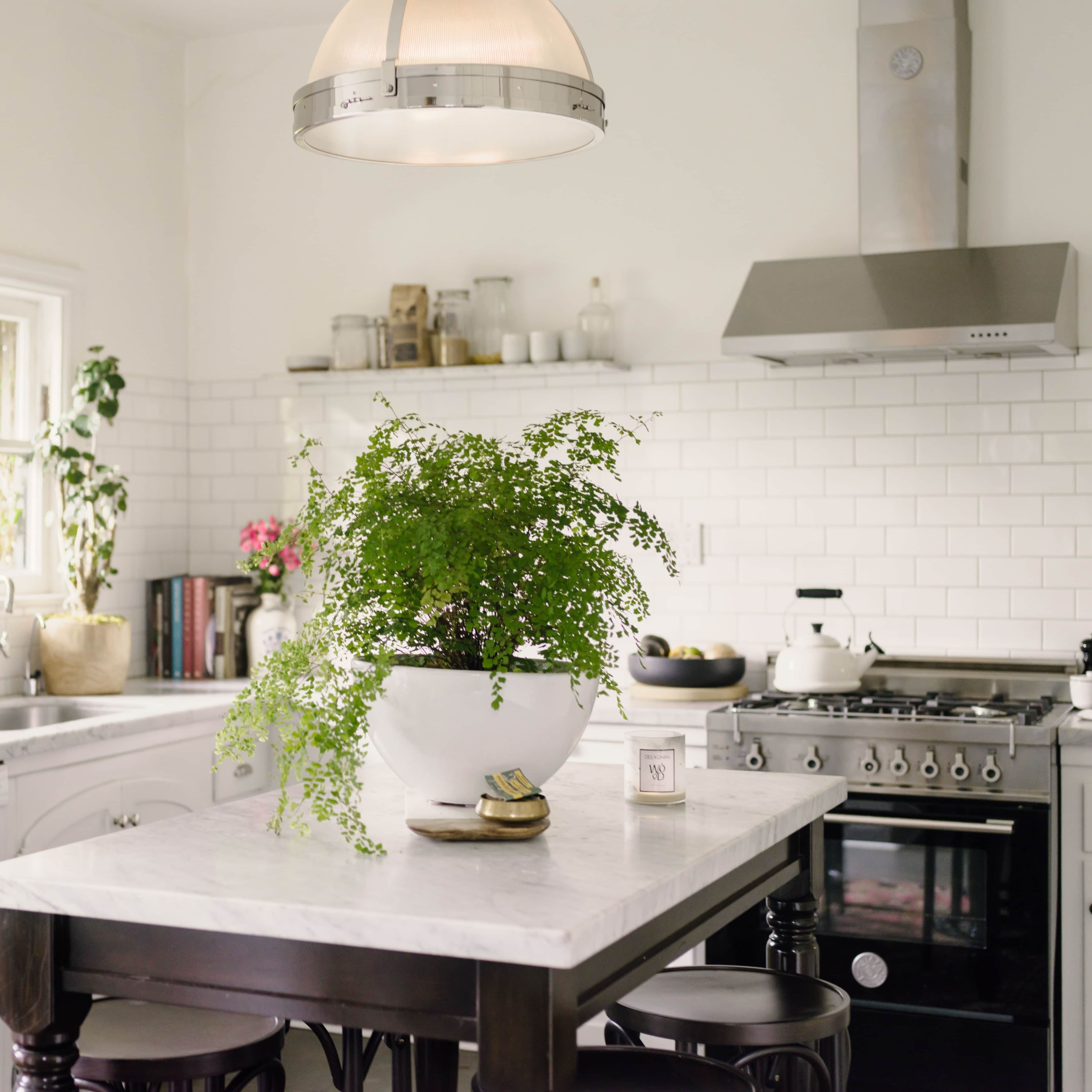 A modern kitchen features a marble island with a large plant, stainless steel appliances, and white subway tile walls.