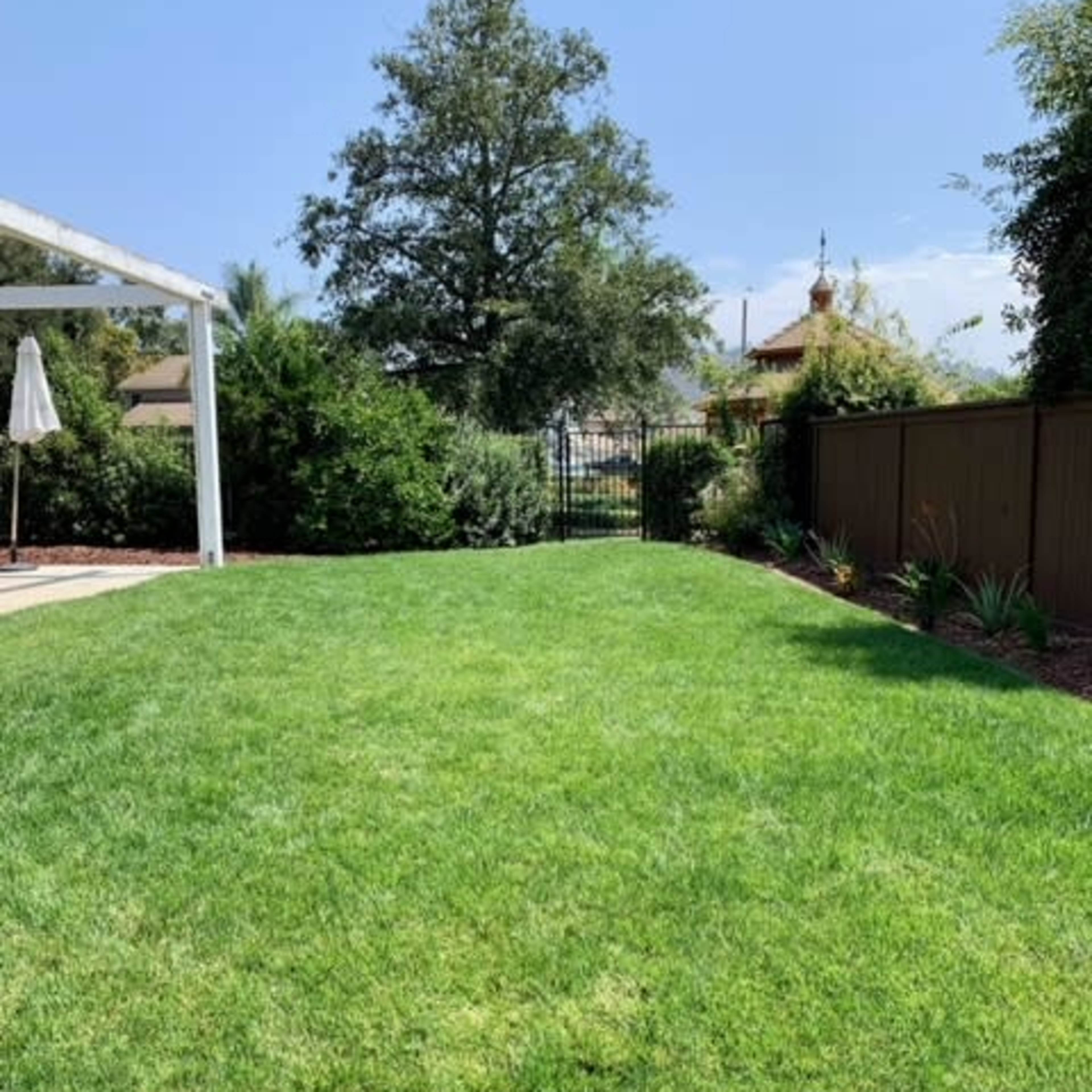 A well-maintained grassy lawn bordered by trees and a fence with a gate in the background.