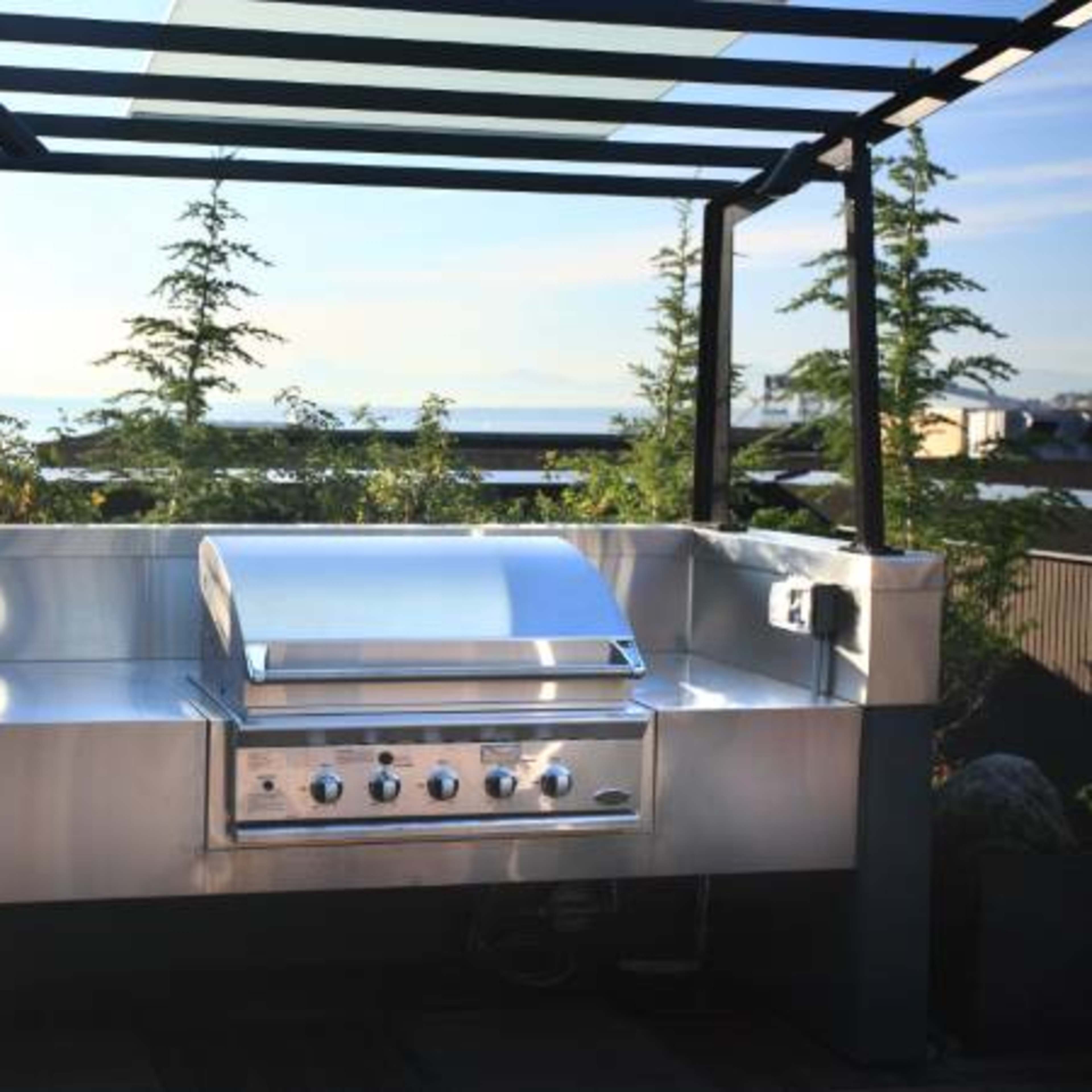 A stainless steel outdoor grill is positioned under a trellis with greenery and a view of the ocean in the background.