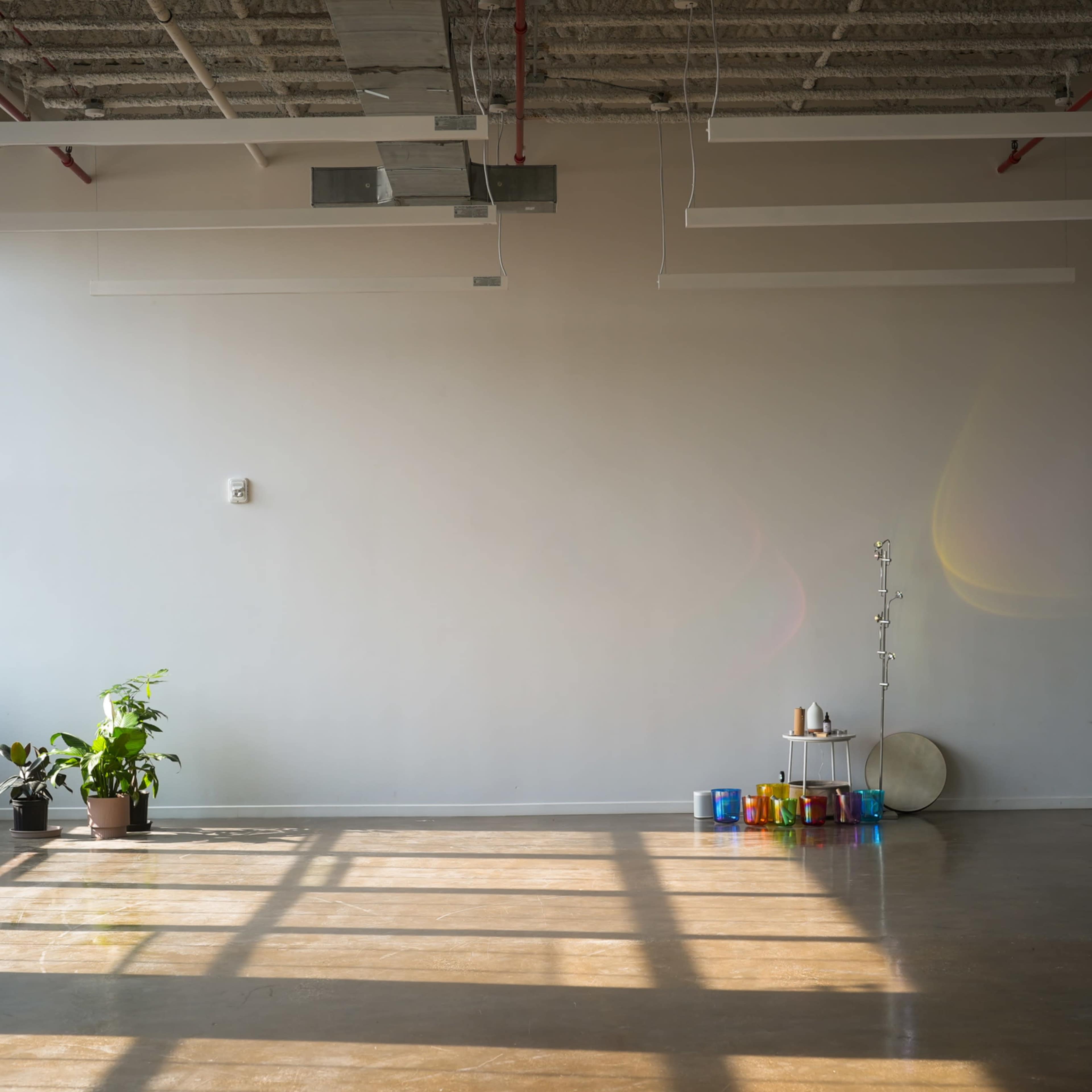 Spacious Wellness & Event Studio with Premium Sound & Mood Lighting Image in Sunset Park, Brooklyn, NY