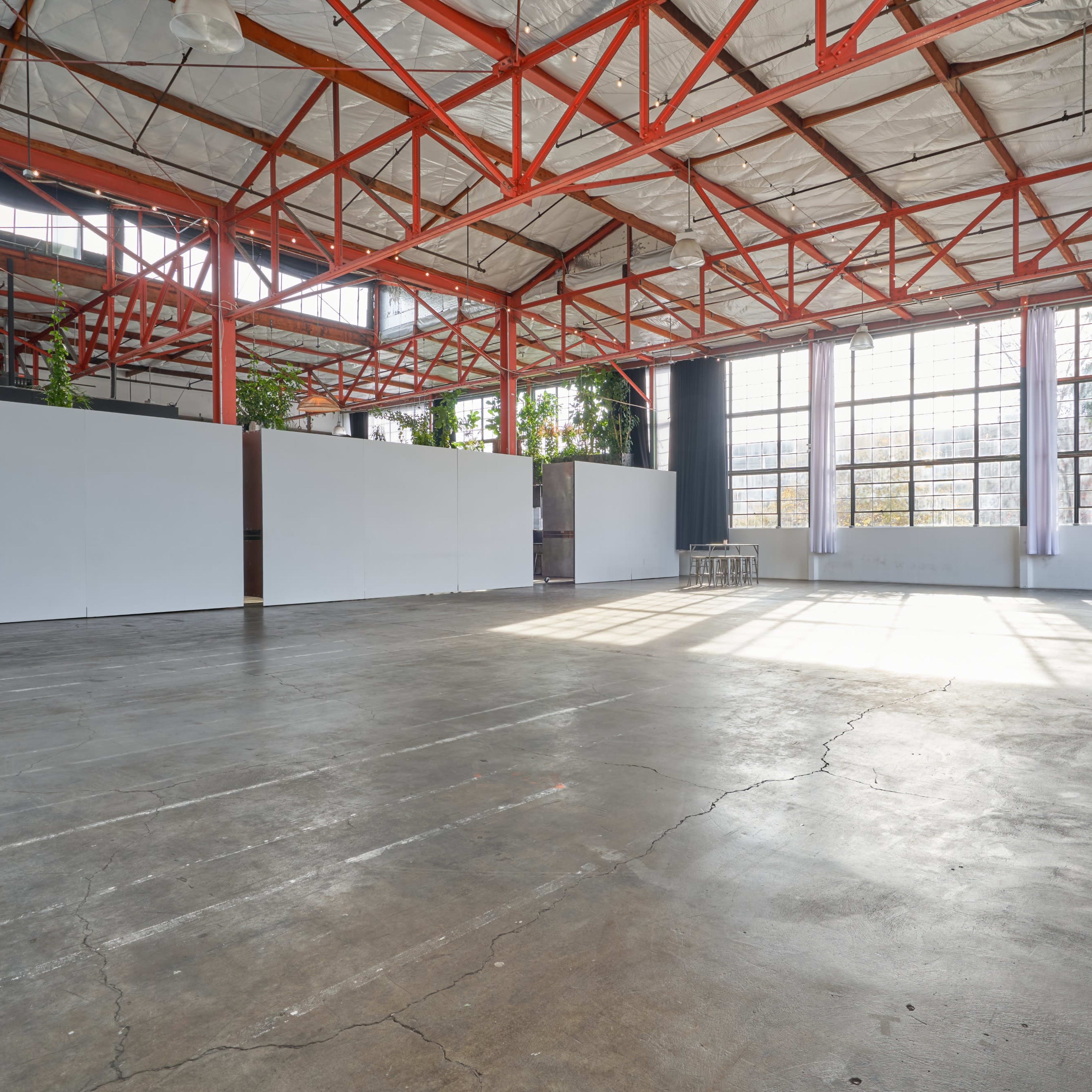 A spacious industrial-style room with high ceilings, large windows, and a concrete floor, featuring white walls and some greenery.