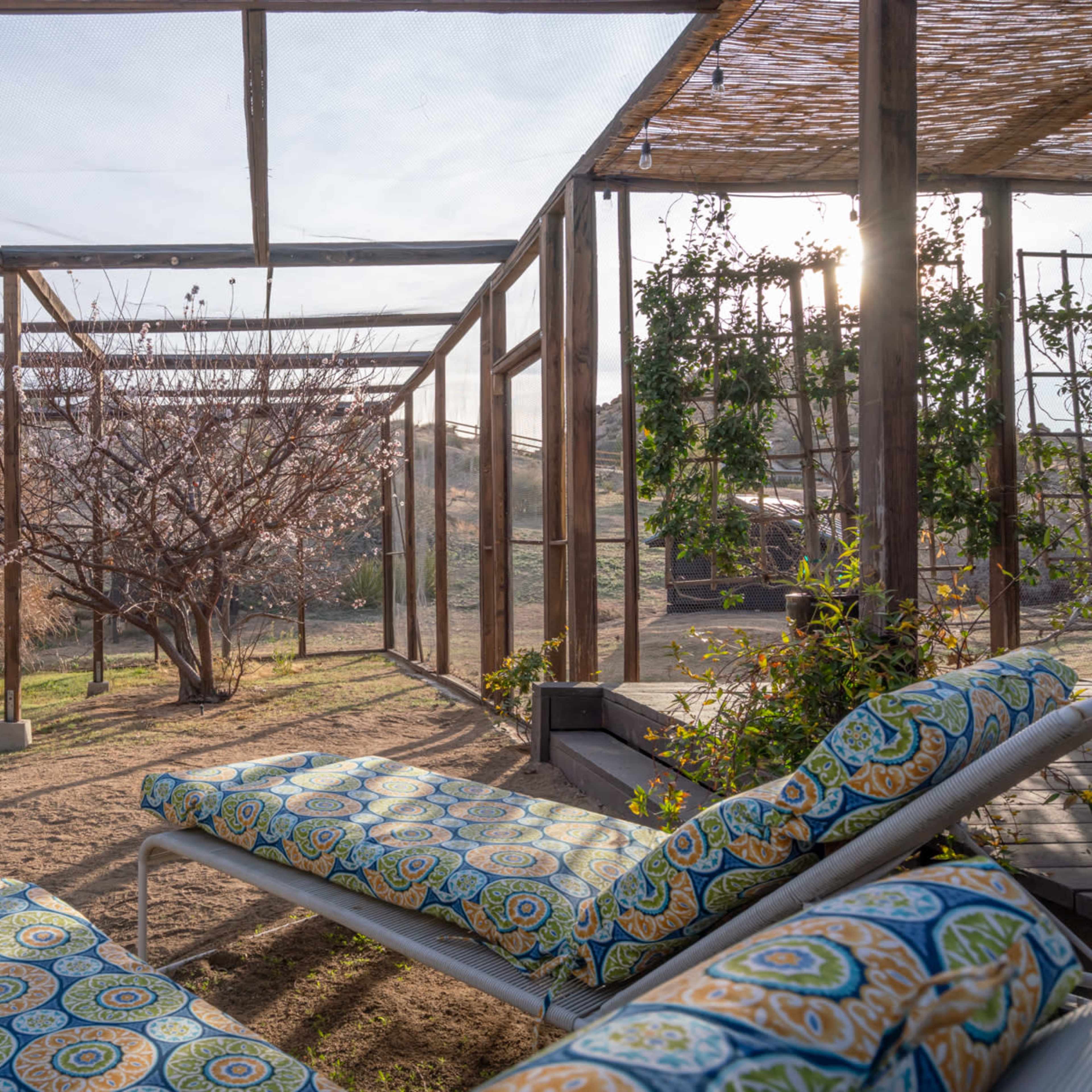 A sunlit outdoor area with two patterned lounge chairs, surrounded by a framework of wooden beams and a garden featuring bare trees and foliage.