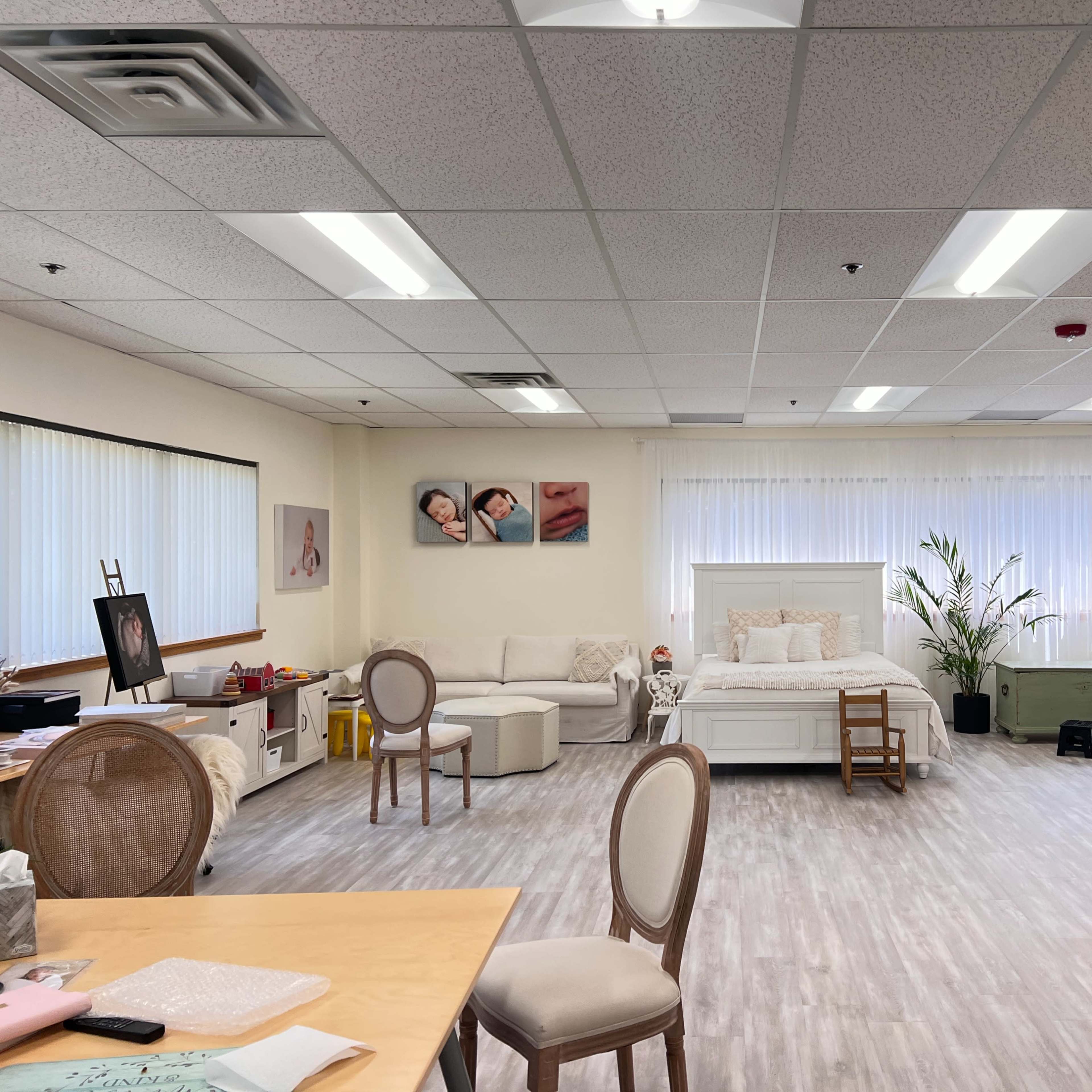 A spacious studio with a bed, seating area, plants, and photography equipment against a light-colored backdrop.