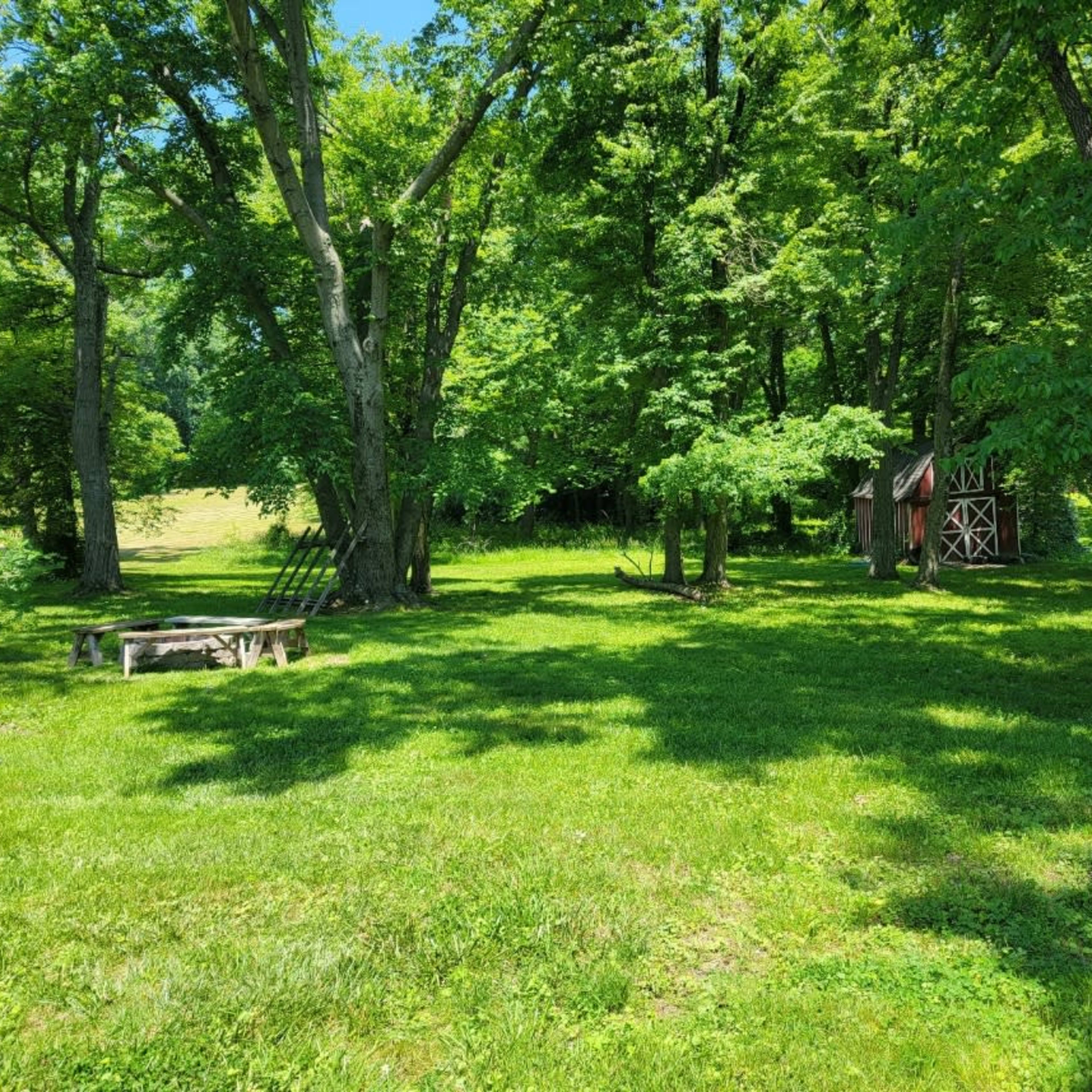 A grassy area surrounded by trees, with a wooden structure visible in the distance.