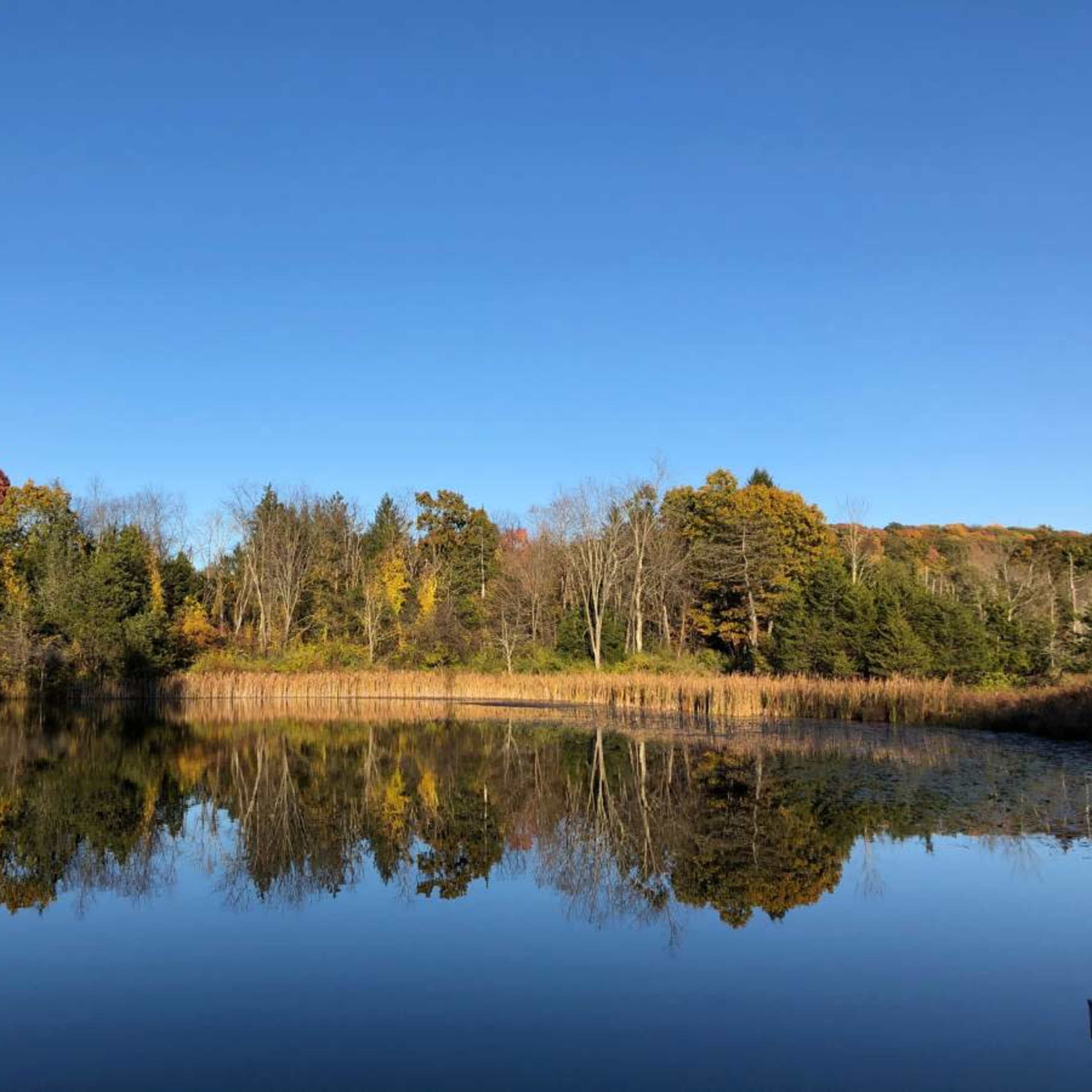 1920's Camp w/Lake, Bunkhouses & More Image in Milan, Red Hook, NY