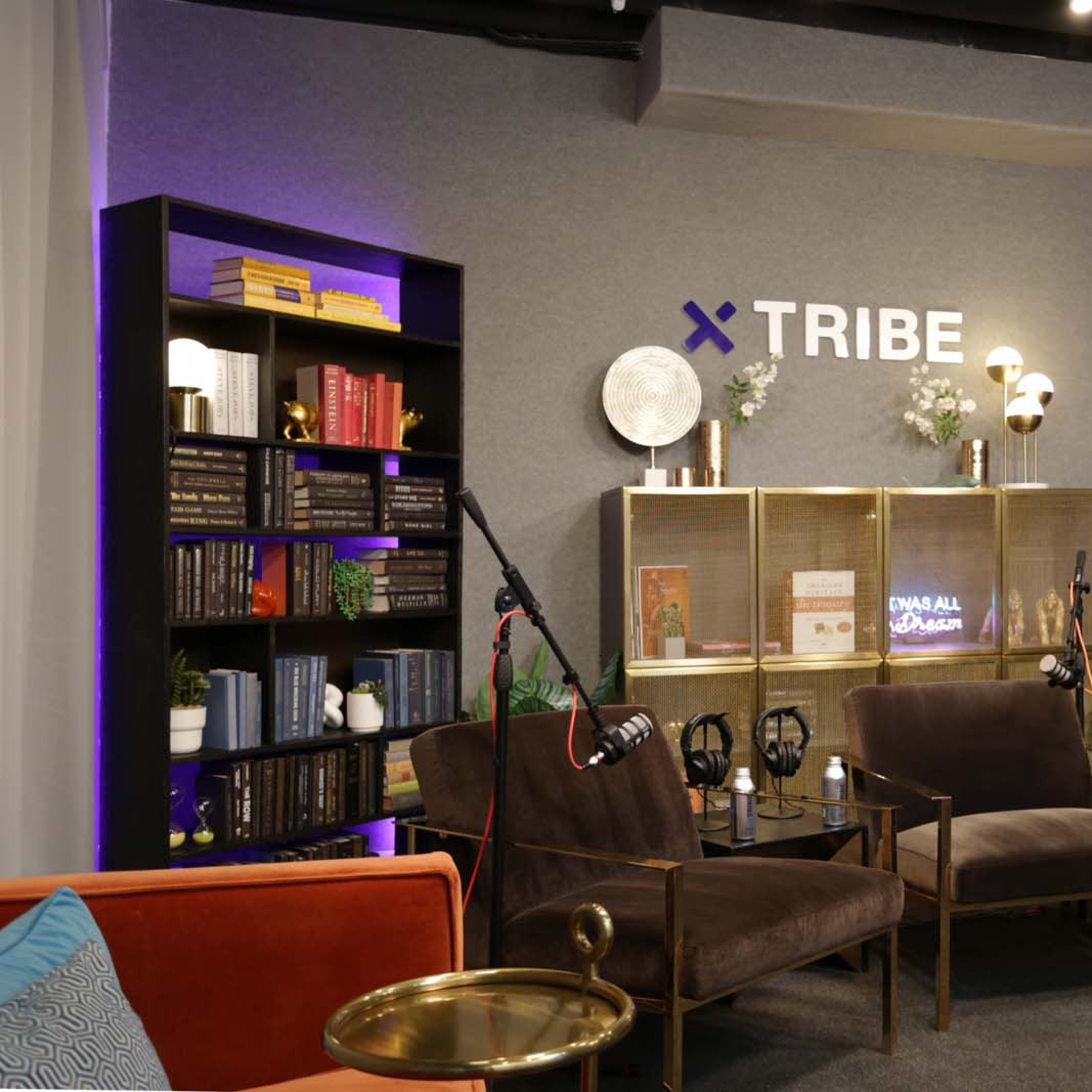 A modern lounge area with brown armchairs, bookshelves filled with books, and ambient lighting, all branded with the word "TRIBE" on the wall.