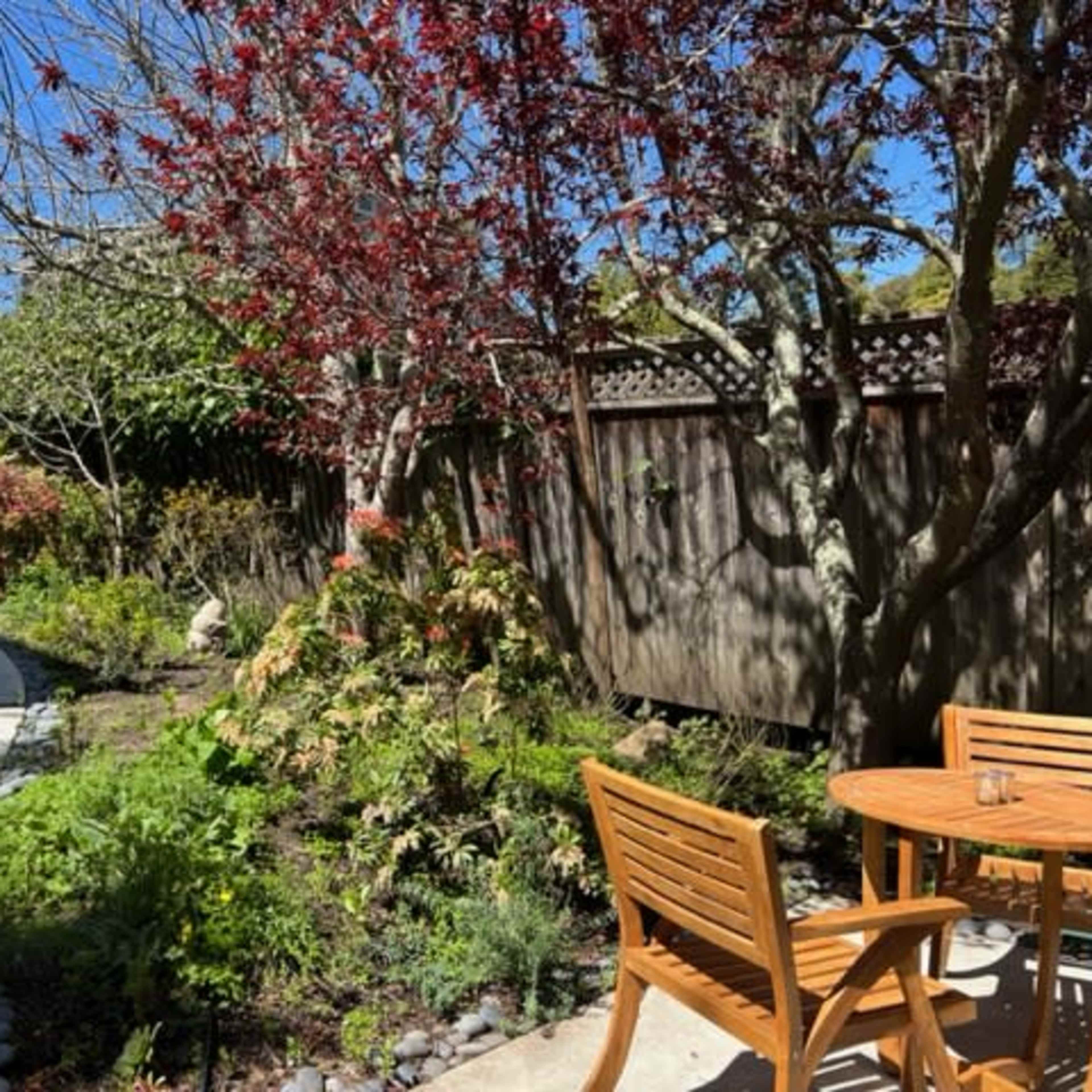 A landscaped garden path winding through greenery, with a table and chairs positioned beside a flowering tree on a sunny day.