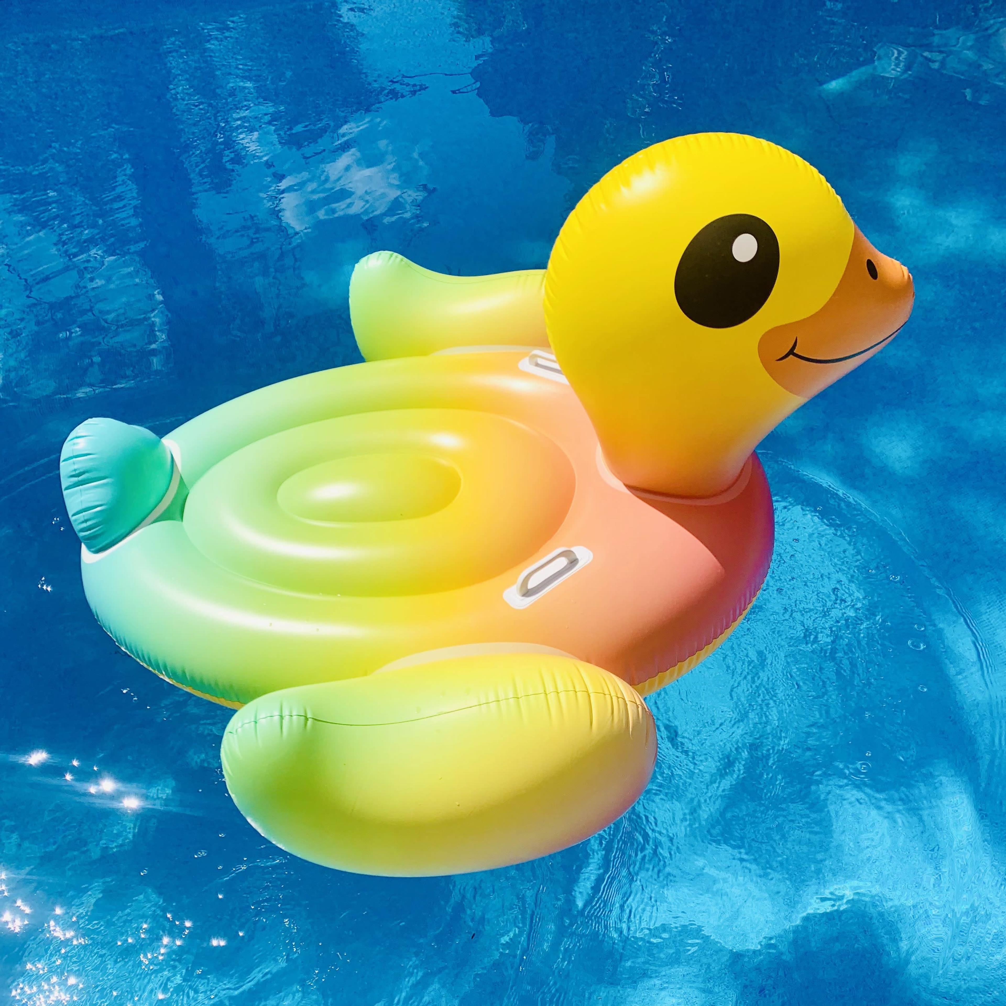 A colorful inflatable turtle float is resting in a swimming pool.