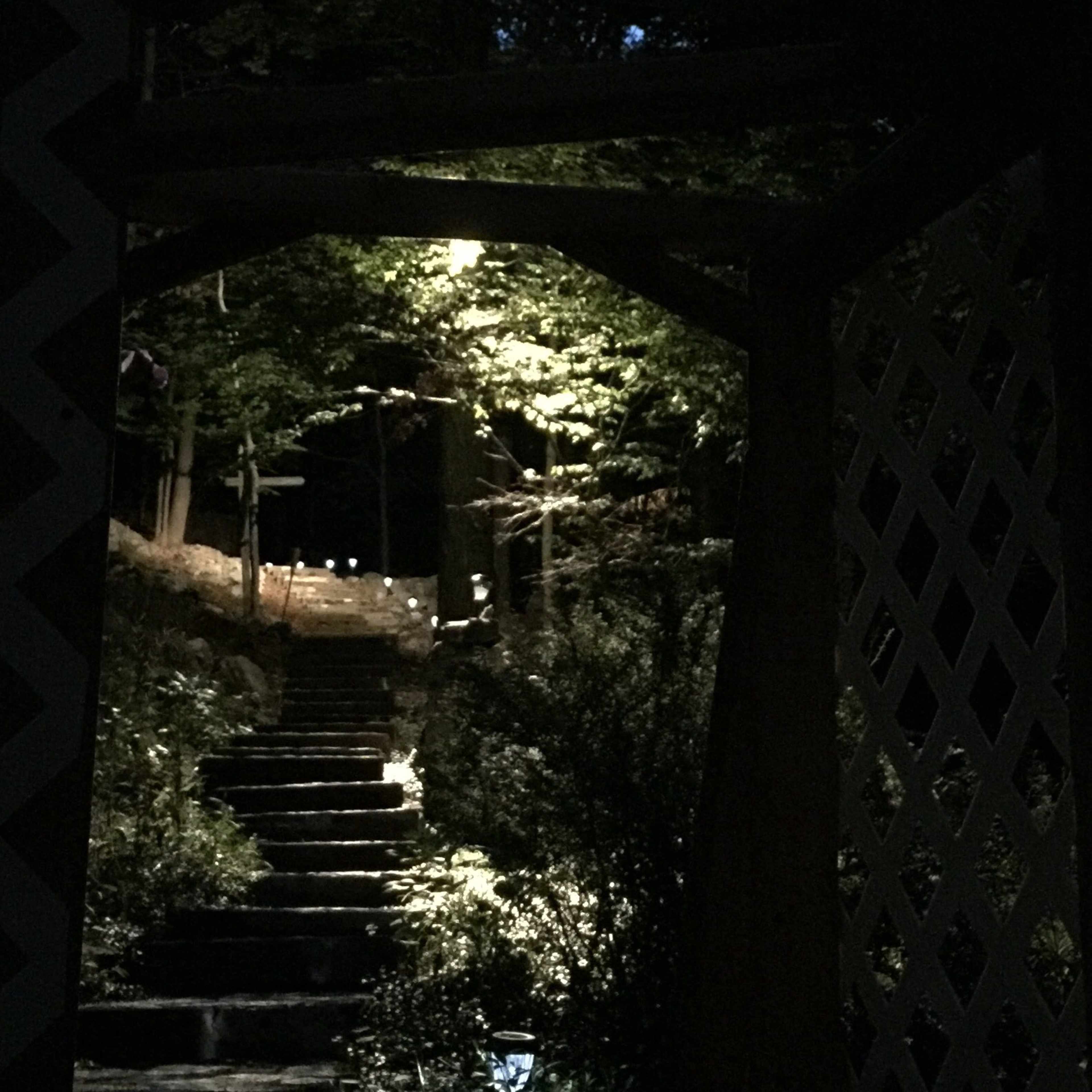 A stone staircase illuminated by soft lighting leads through a wooden archway into a wooded area at night.