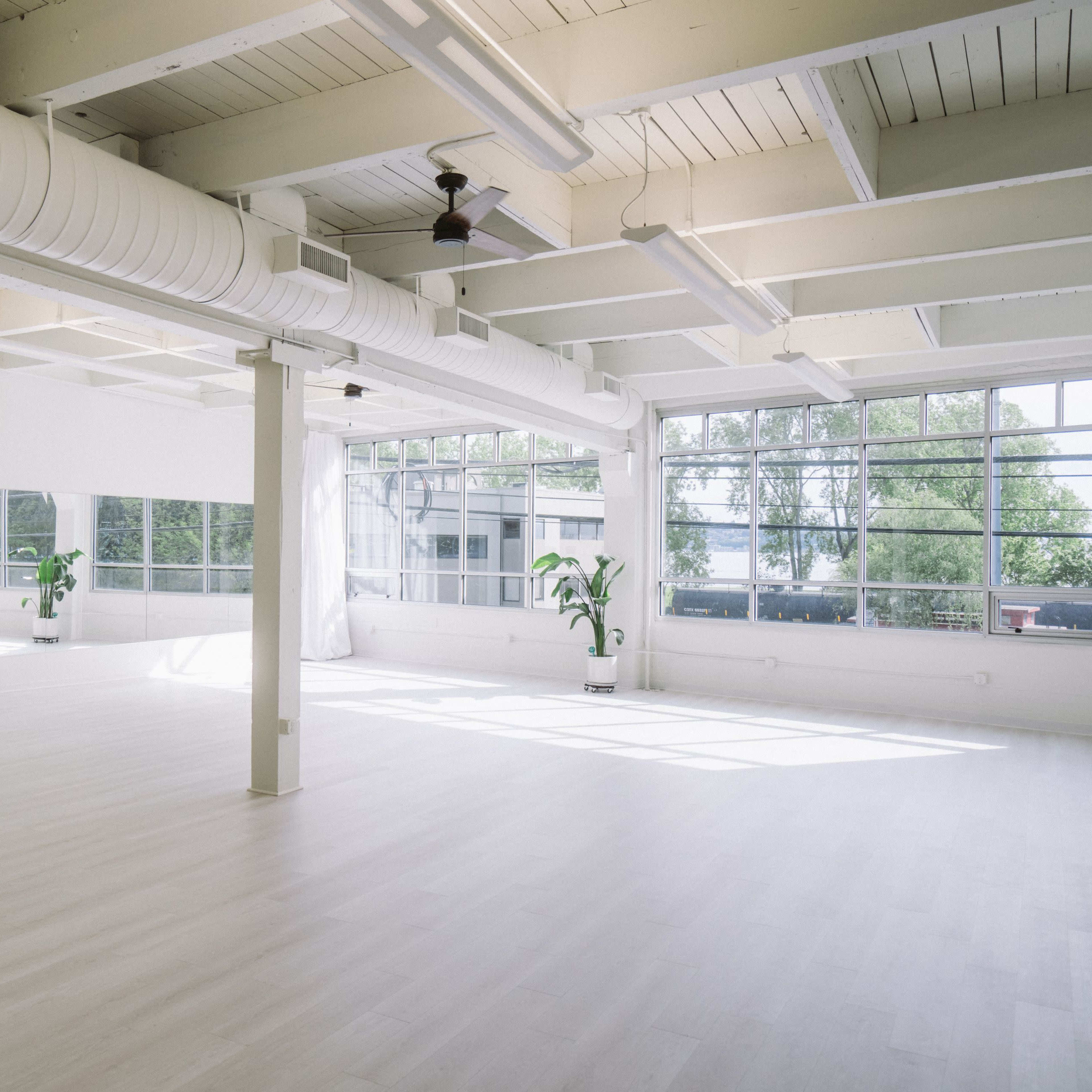 A bright, open room with wooden floors, large windows, and minimal furnishings, including plants in the corners.