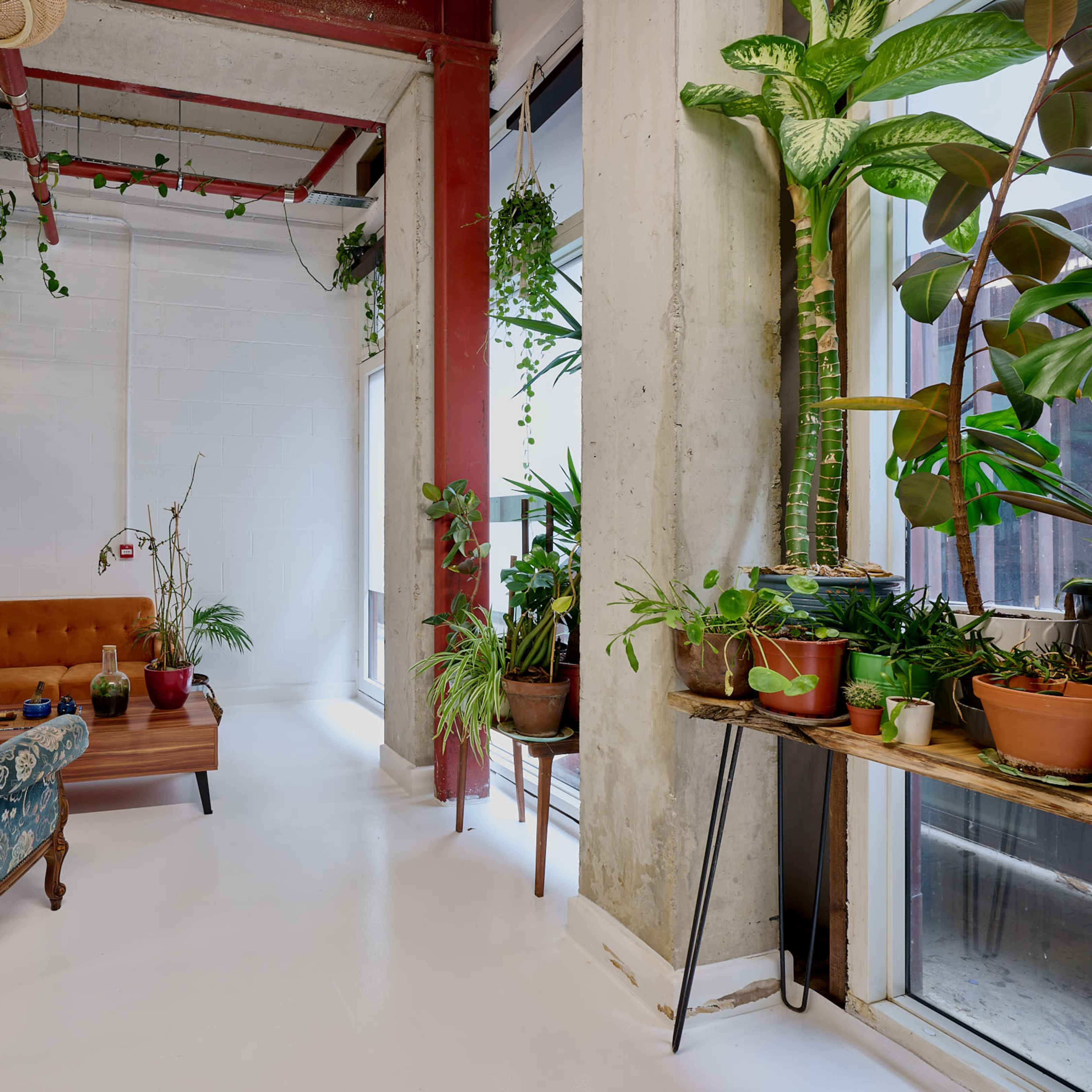 A modern interior space featuring a cozy seating area with a patterned chair, a brown couch, various potted plants, and large windows.
