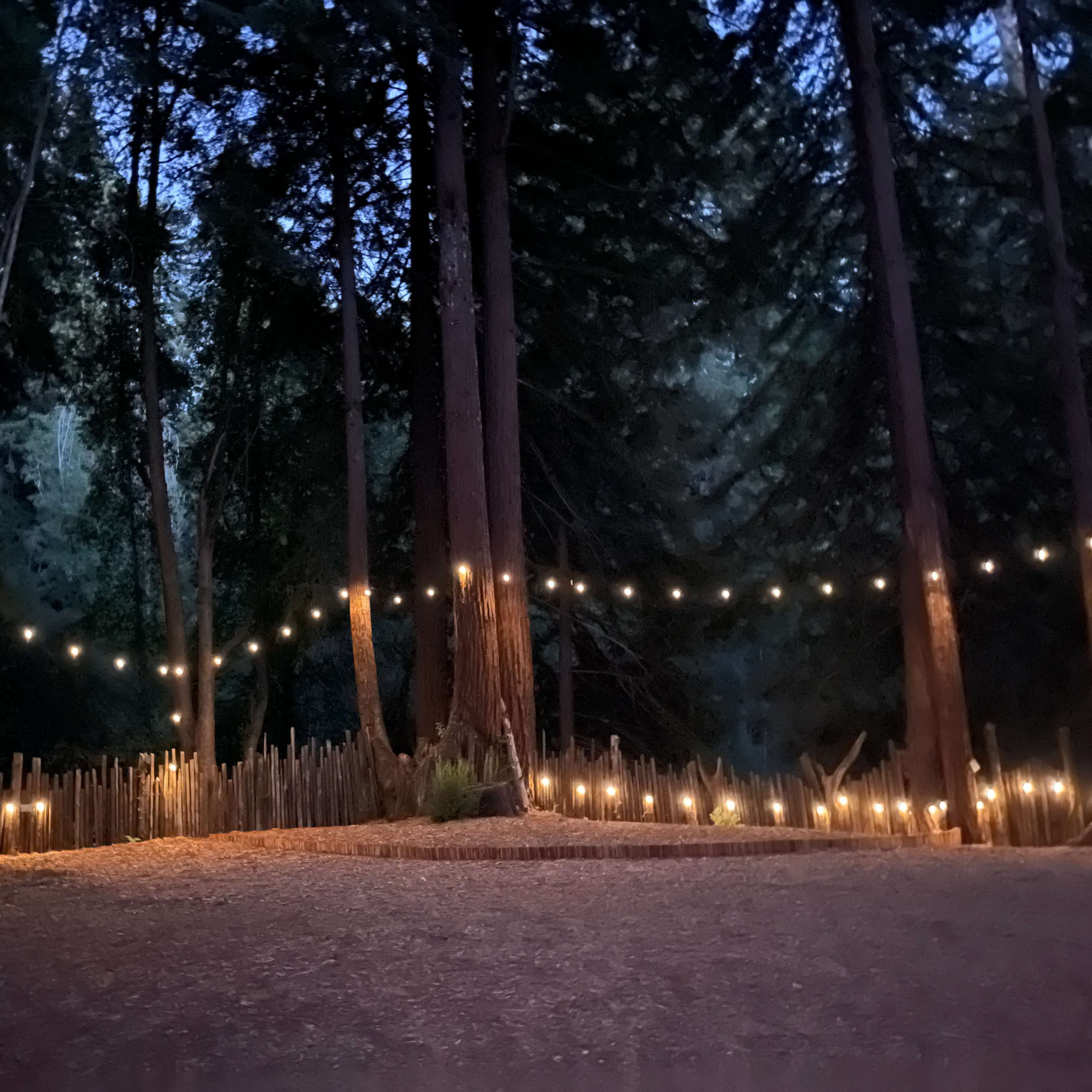 A wooded area at dusk with string lights and candles illuminating a circular space among tall trees.