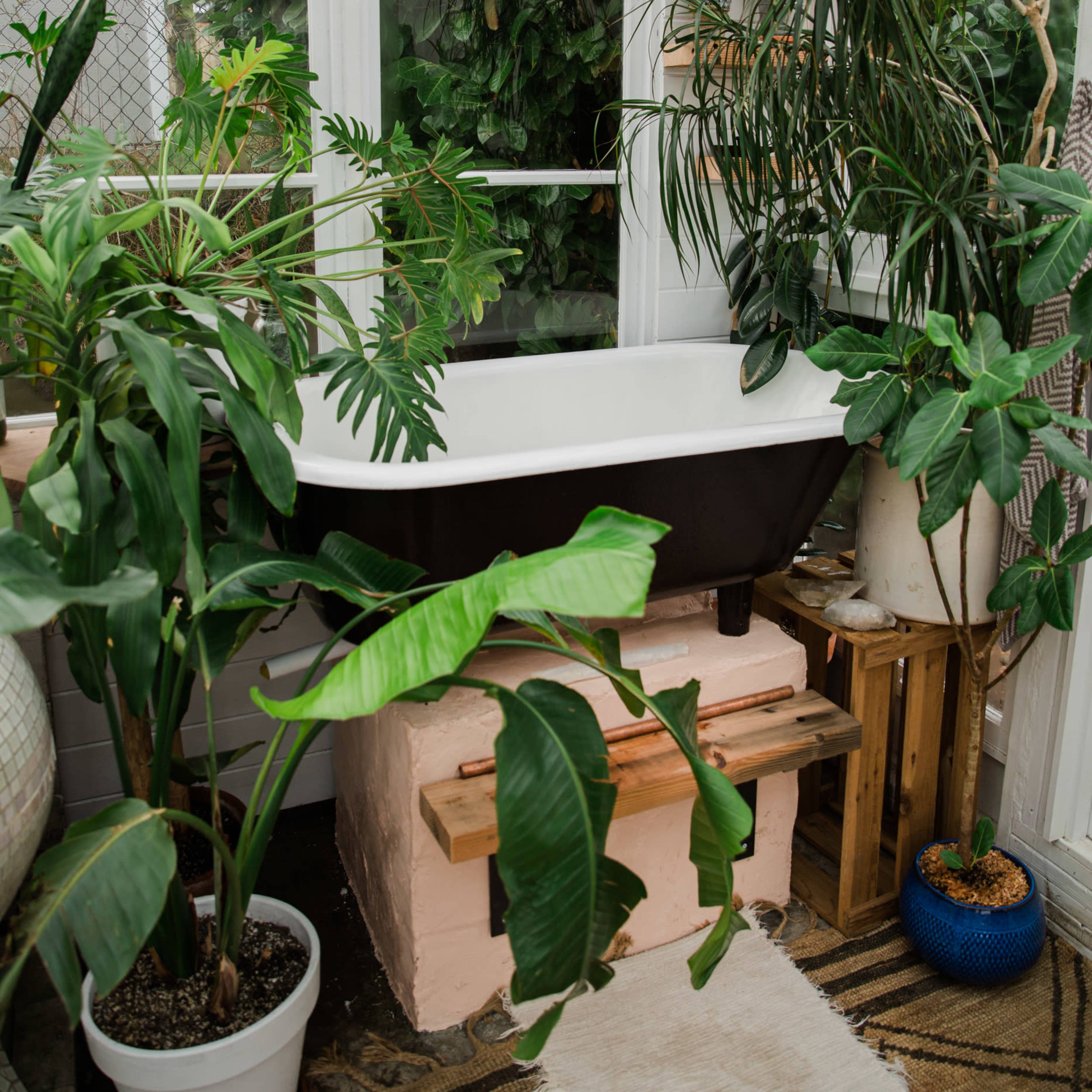 A clawfoot bathtub is positioned on a raised platform surrounded by various plants and a chandelier in a glass-enclosed space.