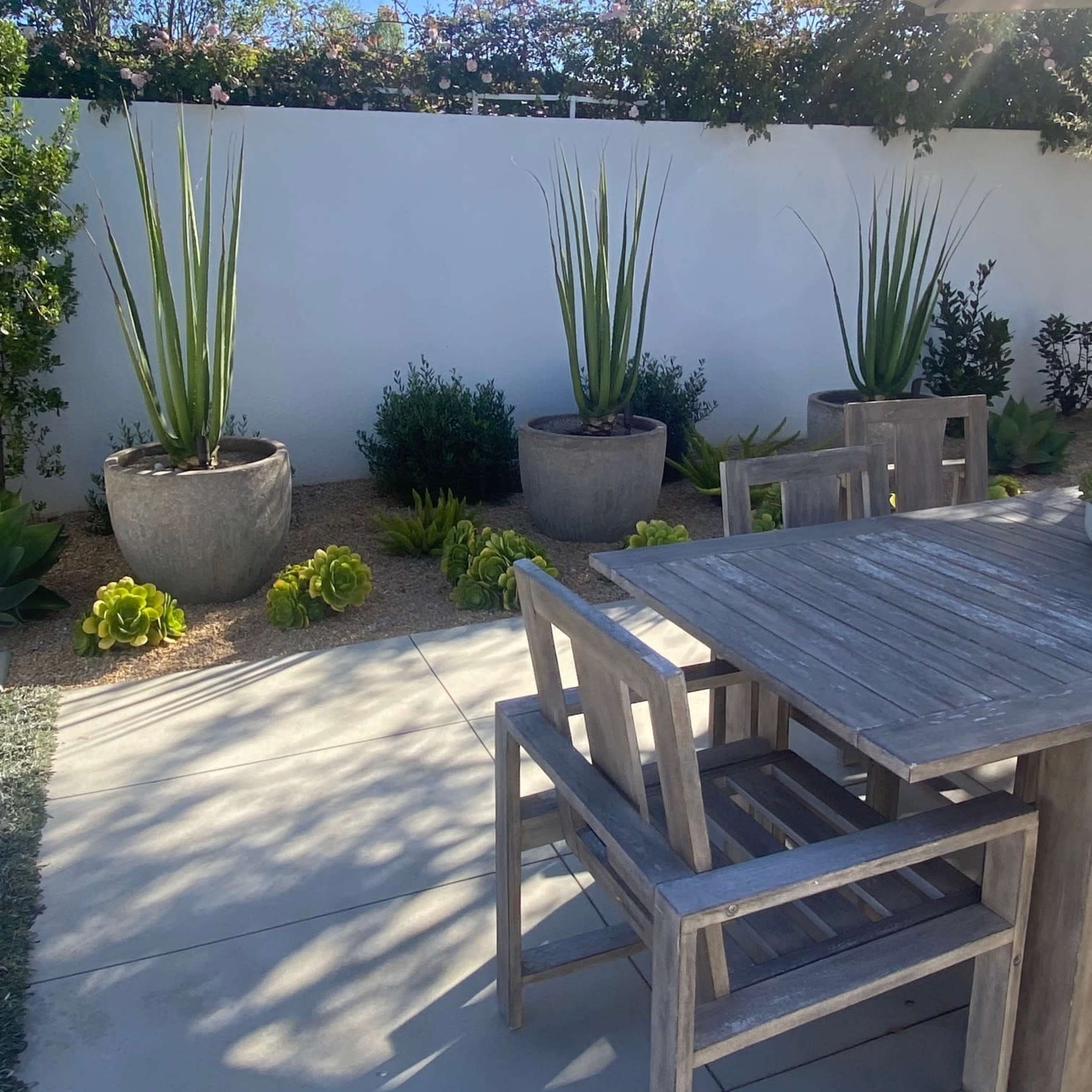 A wooden table and chairs are positioned on a patio surrounded by potted plants and a white wall under a clear blue sky.