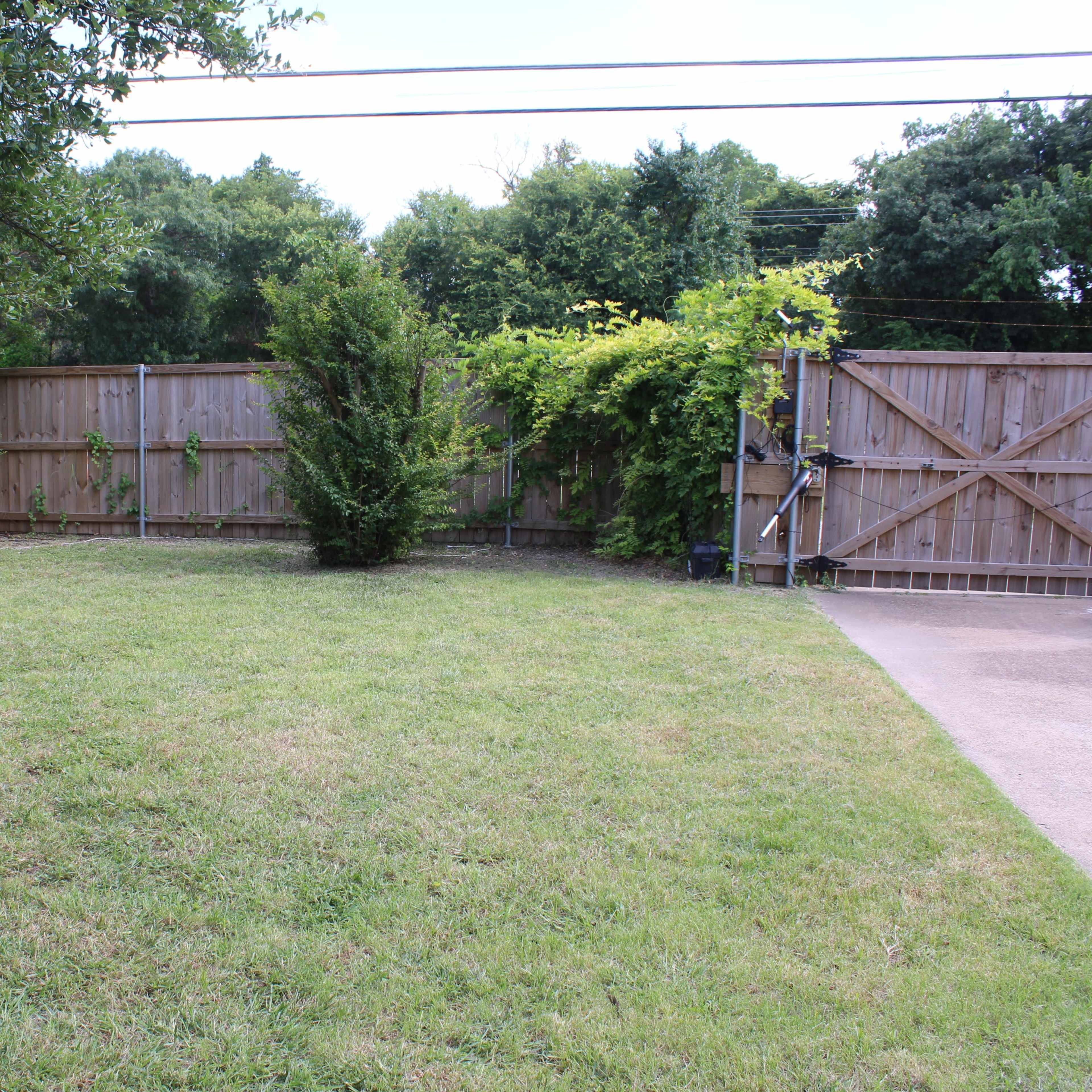 A grassy backyard enclosed by a wooden fence, with various shrubs and trees scattered throughout.