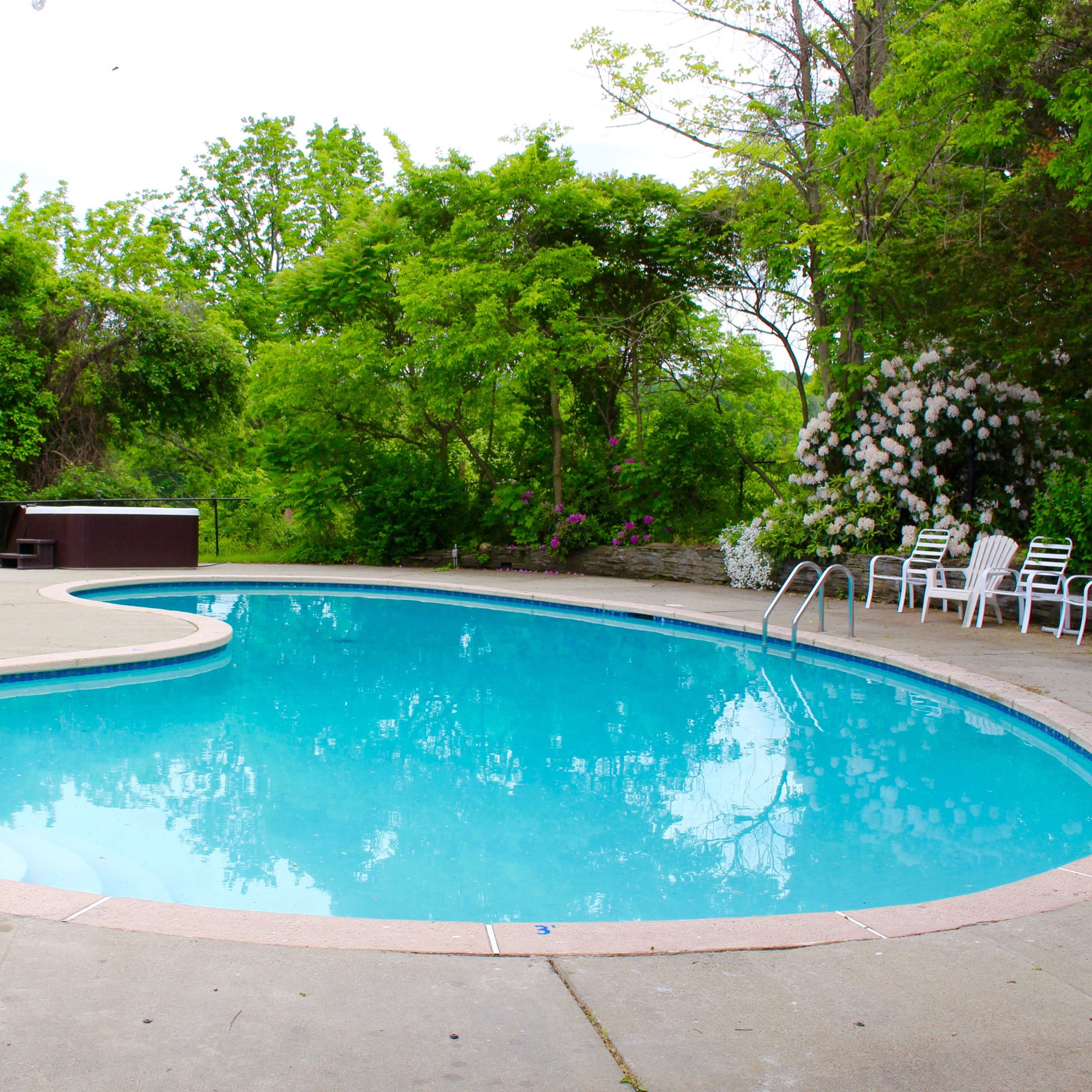A clean, curved swimming pool surrounded by greenery and white lawn chairs.