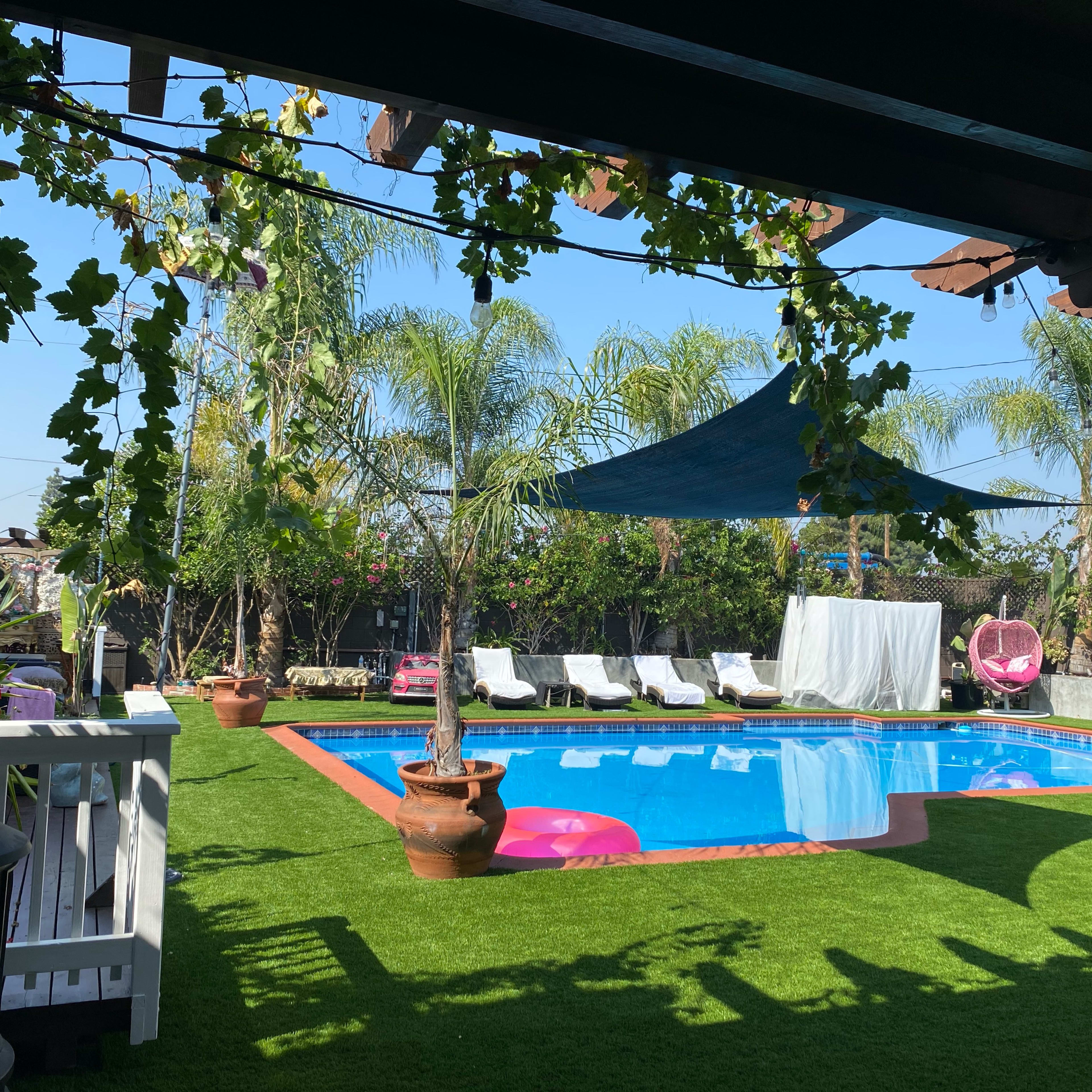 A backyard features a swimming pool surrounded by lounge chairs and palm trees, with a vibrant green lawn and colorful decor.