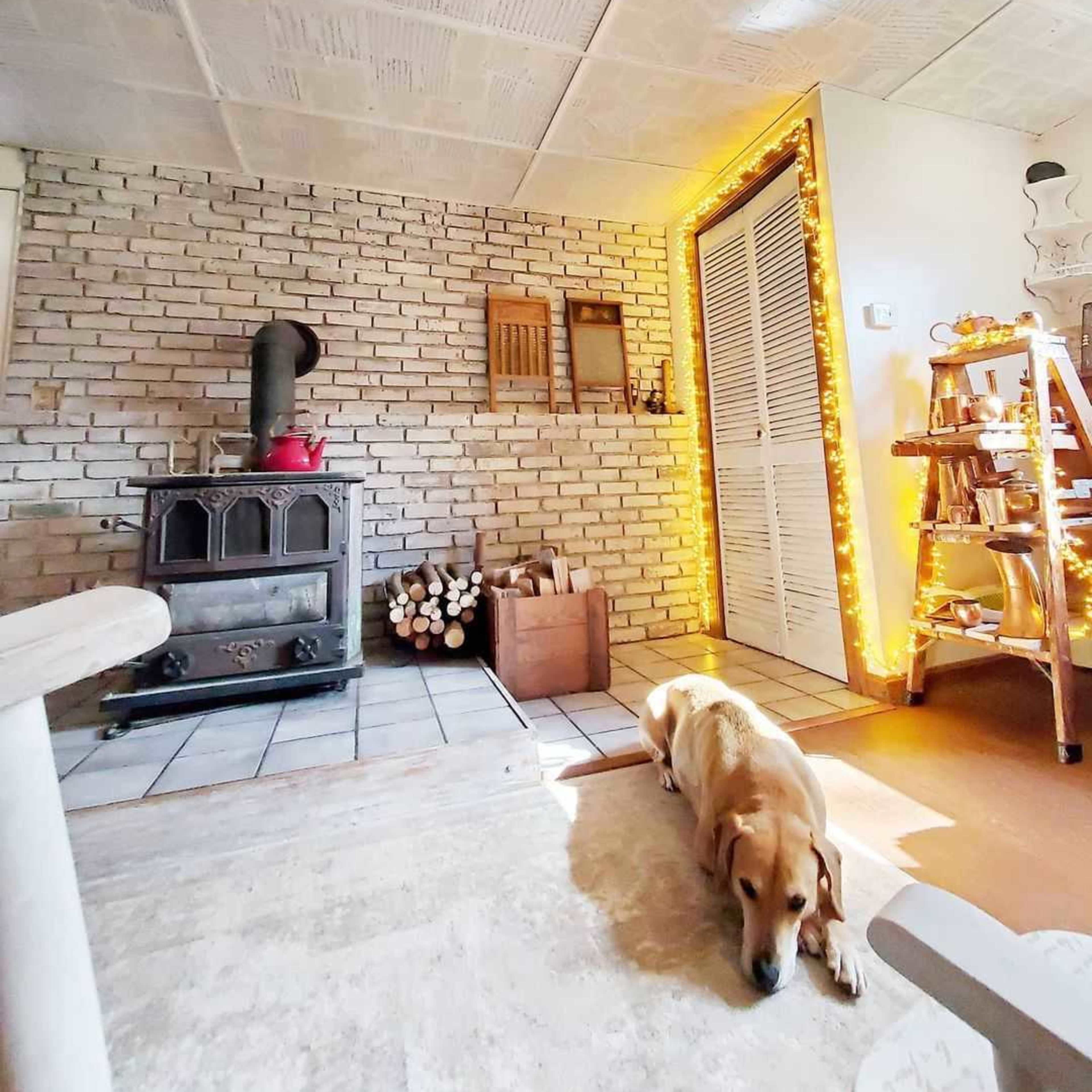 A cozy interior with a brick wall, a wood stove, a dog lying on the floor, and warm lighting highlighting a nearby closet.