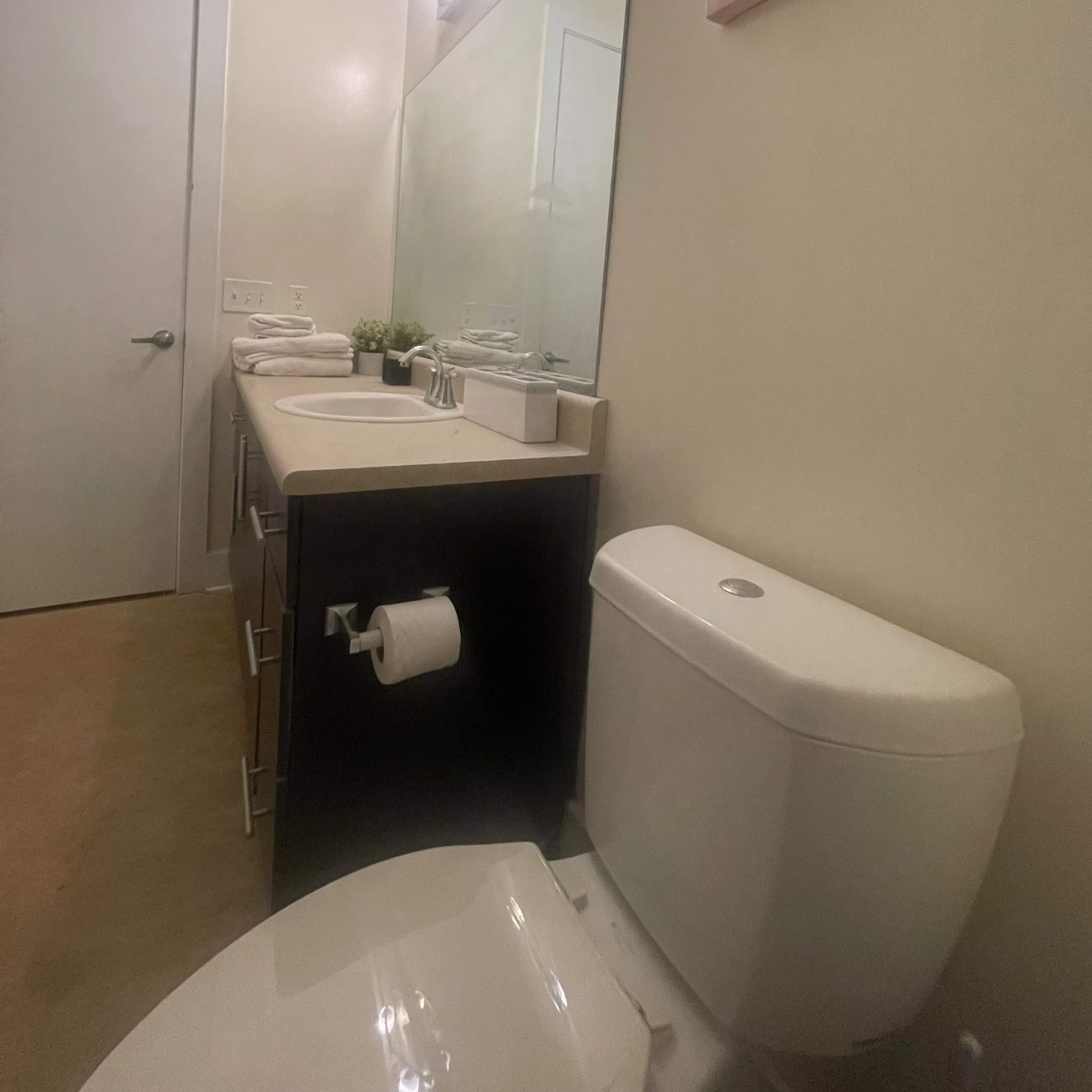 A bathroom with a sink, mirror, and toilet, featuring light-colored walls and a floral wall decoration.