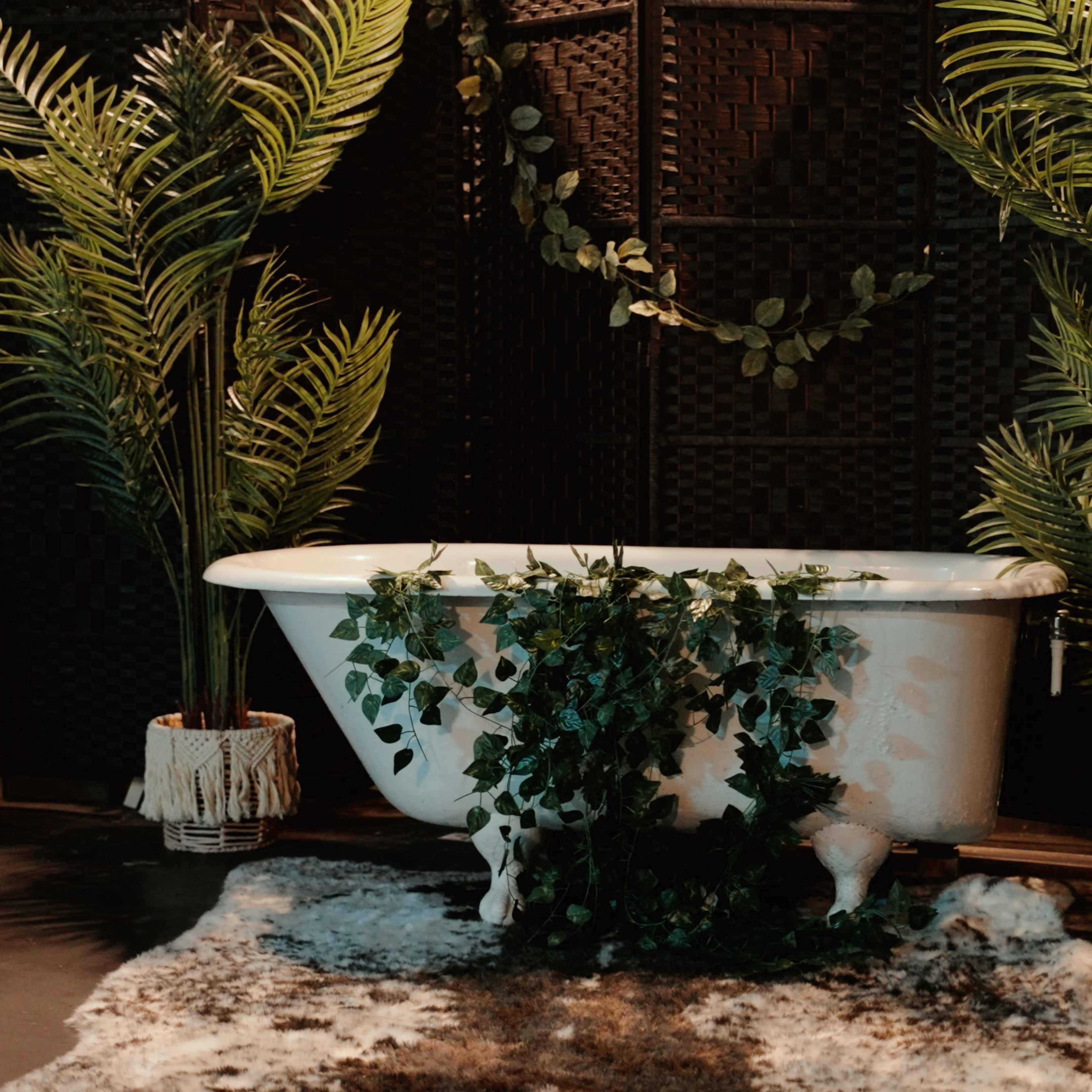 A vintage white bathtub is surrounded by potted palm plants and greenery in a dimly lit space.