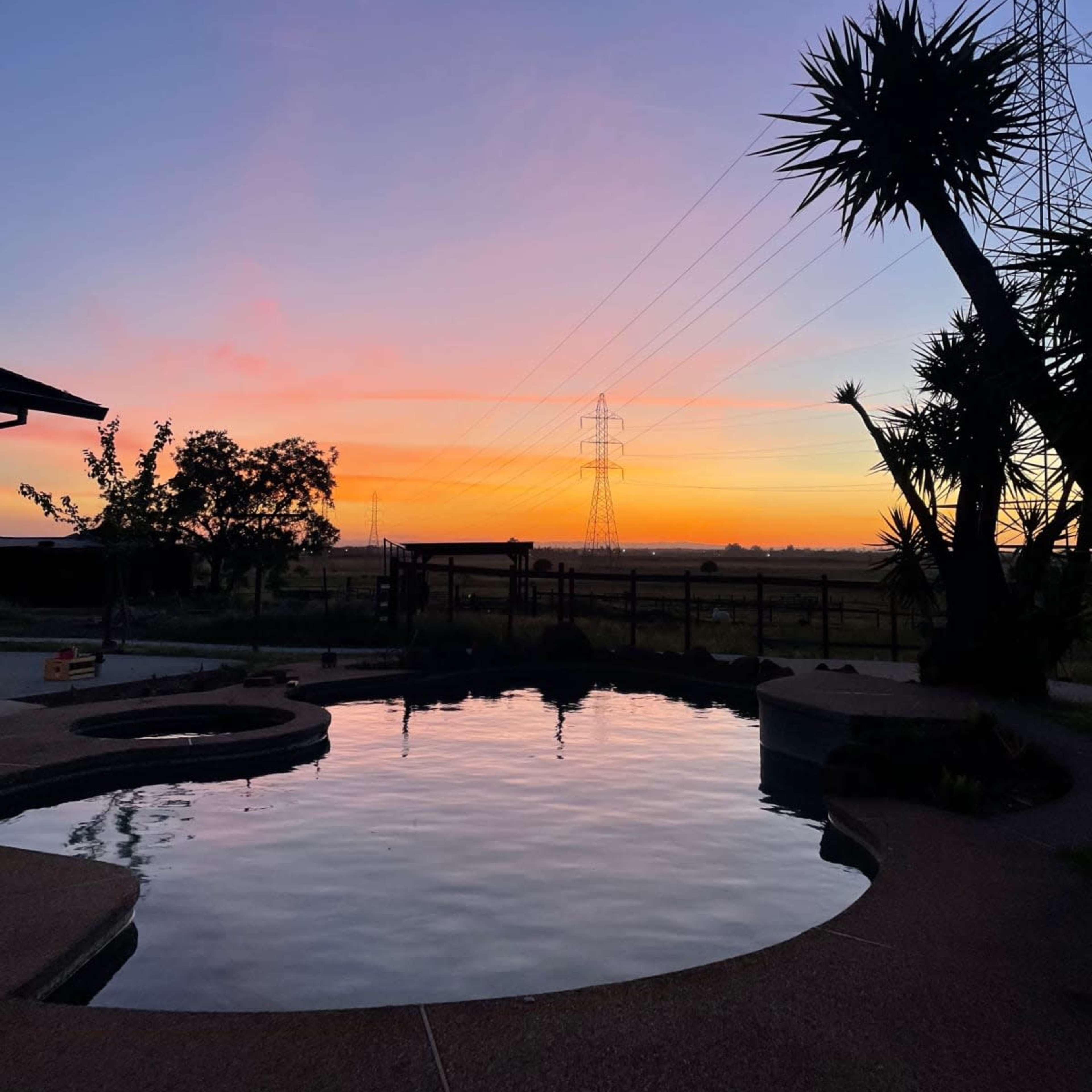 The scene shows a pool reflecting a sunset with silhouettes of palm-like plants and power lines in the background.
