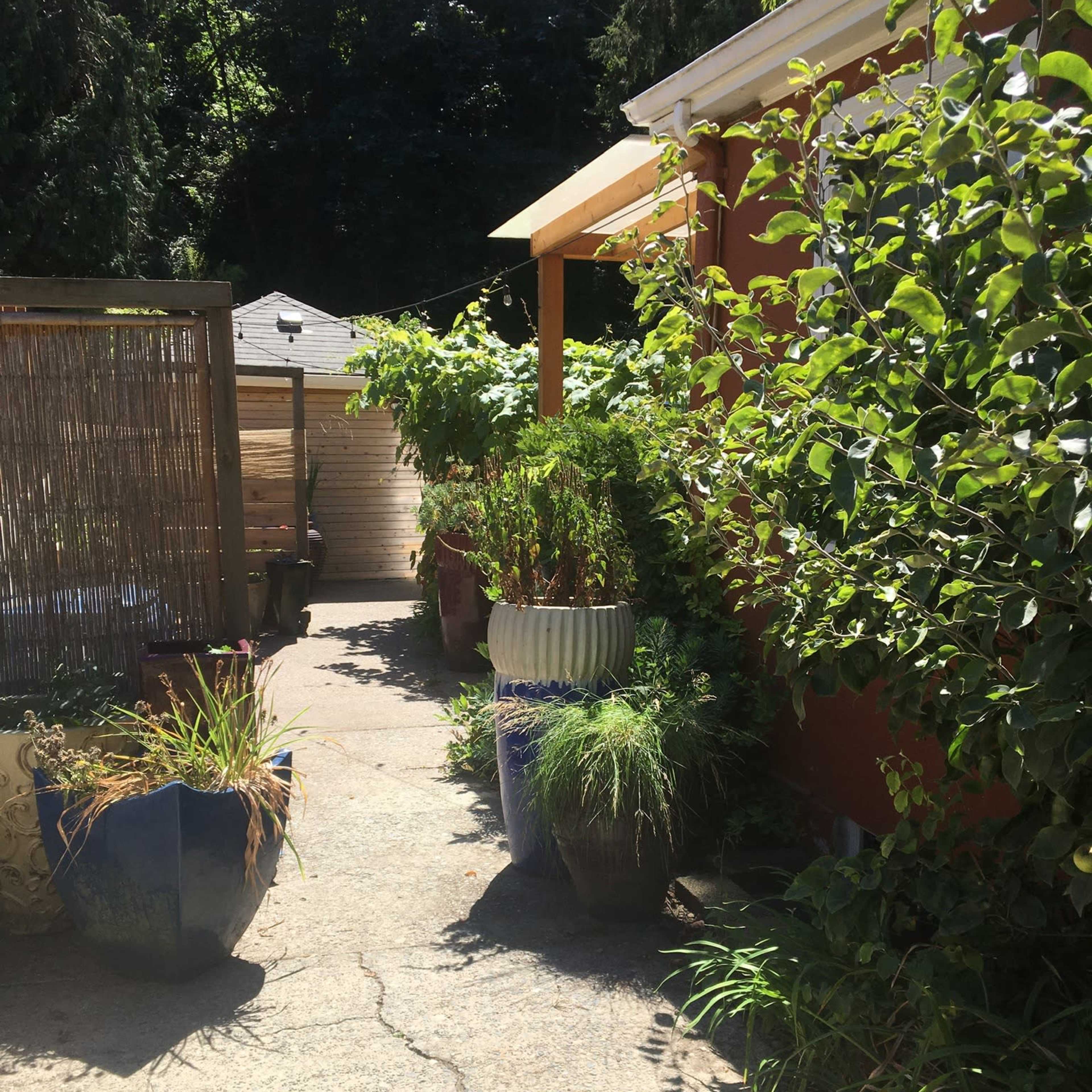A narrow pathway lined with green plants and large pots runs alongside a building with vibrant orange walls.
