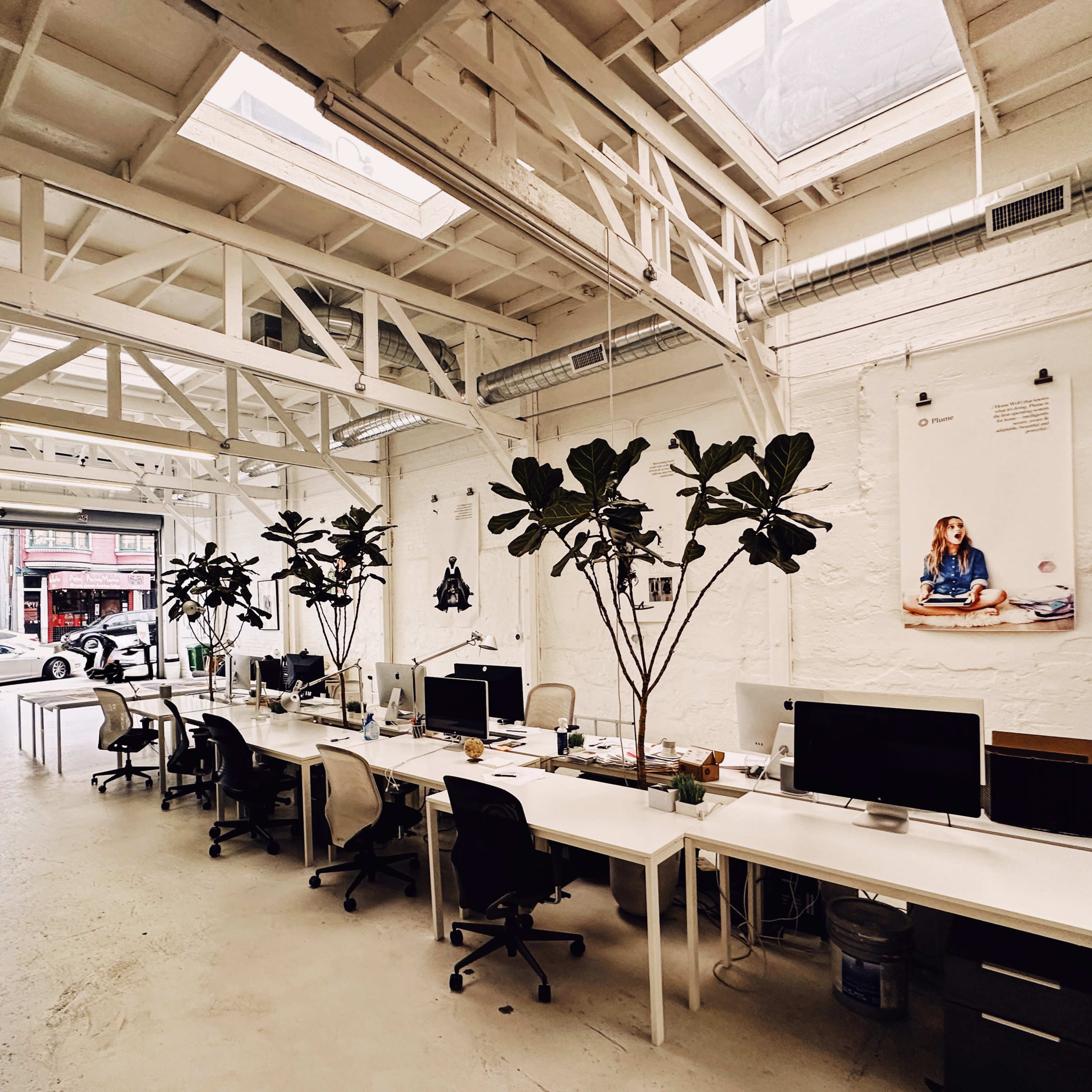 A bright office space featuring white walls, large windows, and rows of desks with desktop computers, illuminated by natural light through a skylight.