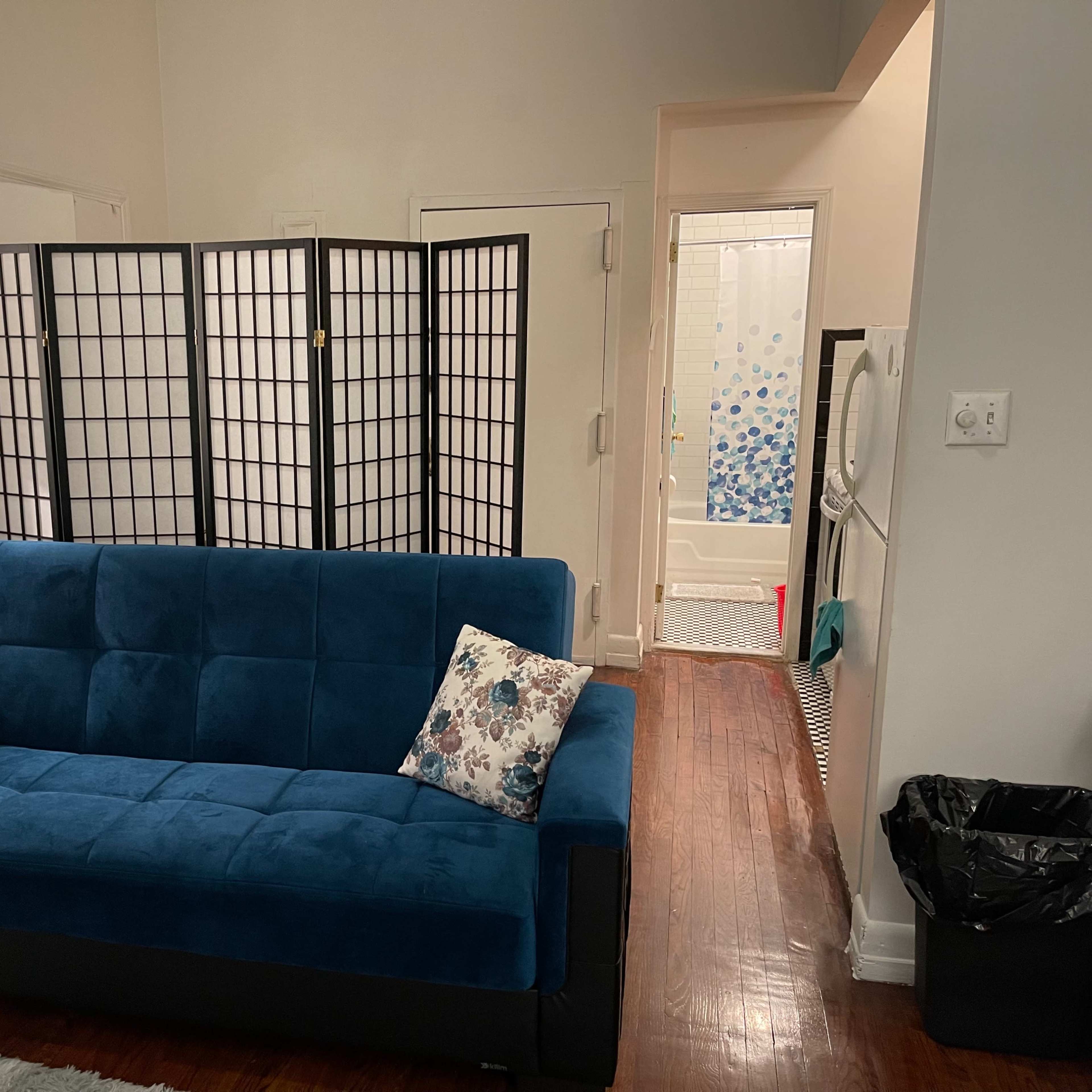 A living room with a blue sofa, decorative pillows, a floor lamp, and a folding screen, leading to a bathroom visible in the background.