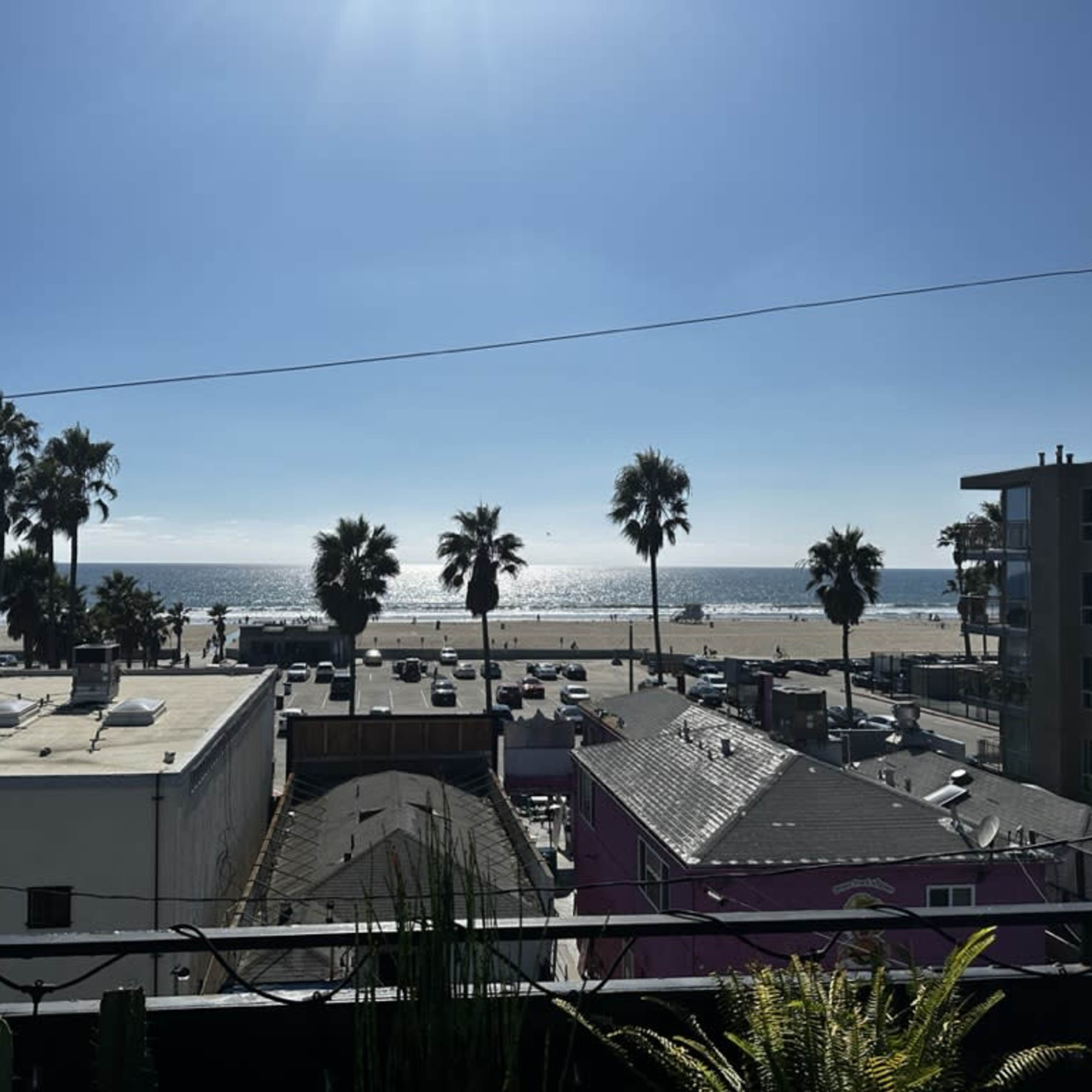 A view of a beach with palm trees, buildings, and a clear blue sky above the ocean.