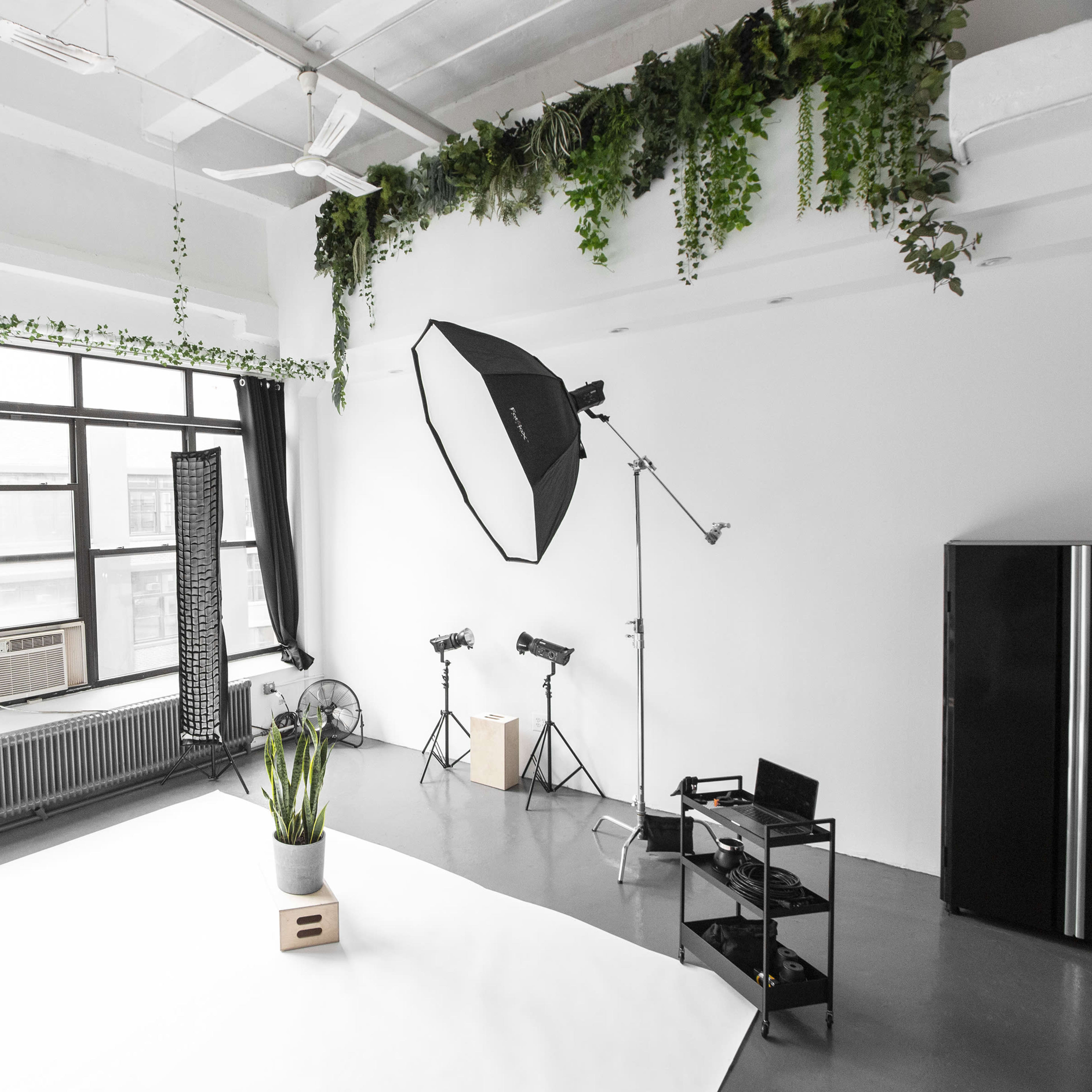 A bright photography studio featuring a large window, a softbox light, and various plants along the walls.