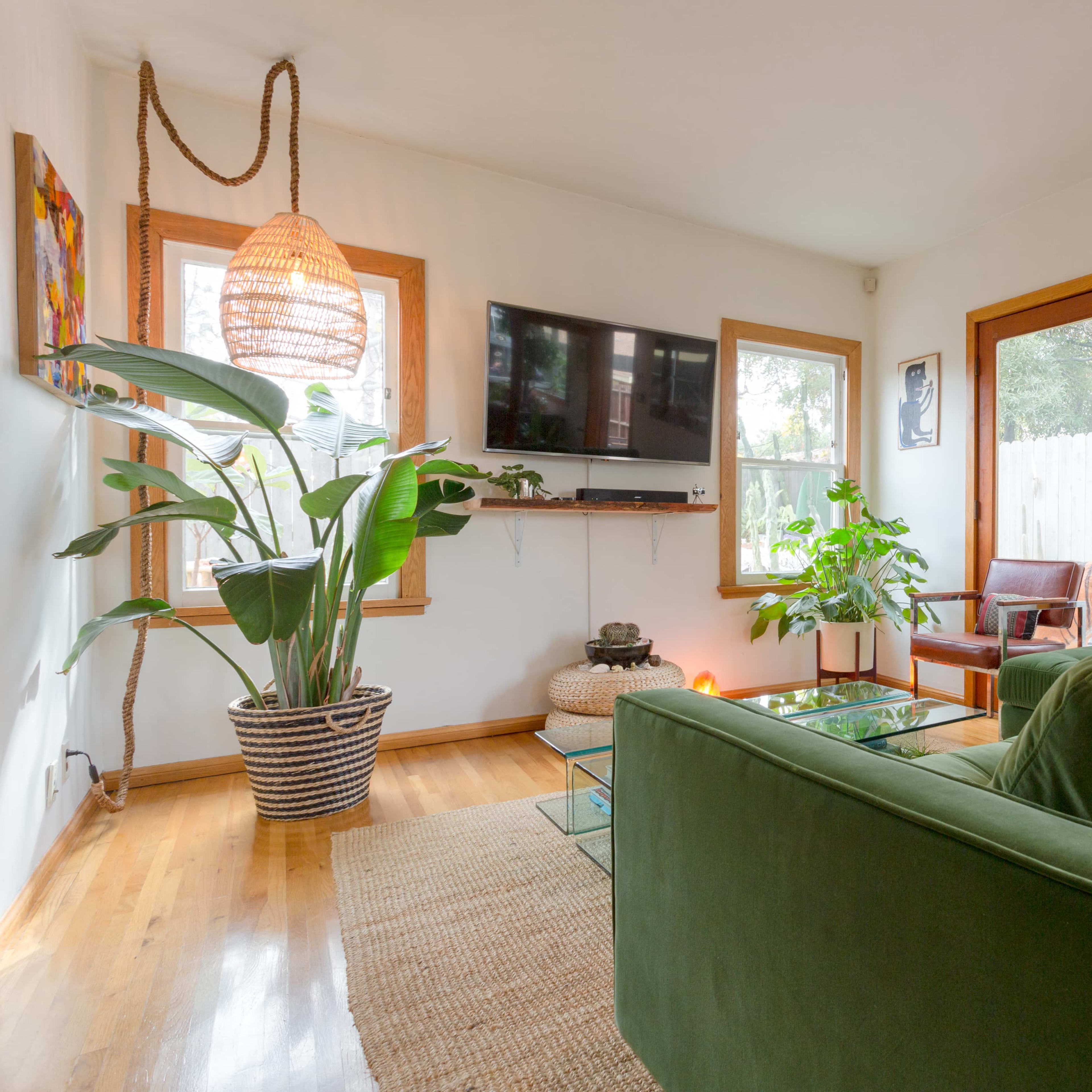 A green sofa is positioned in a bright living room with a television mounted on the wall, a large potted plant, and a glass coffee table.