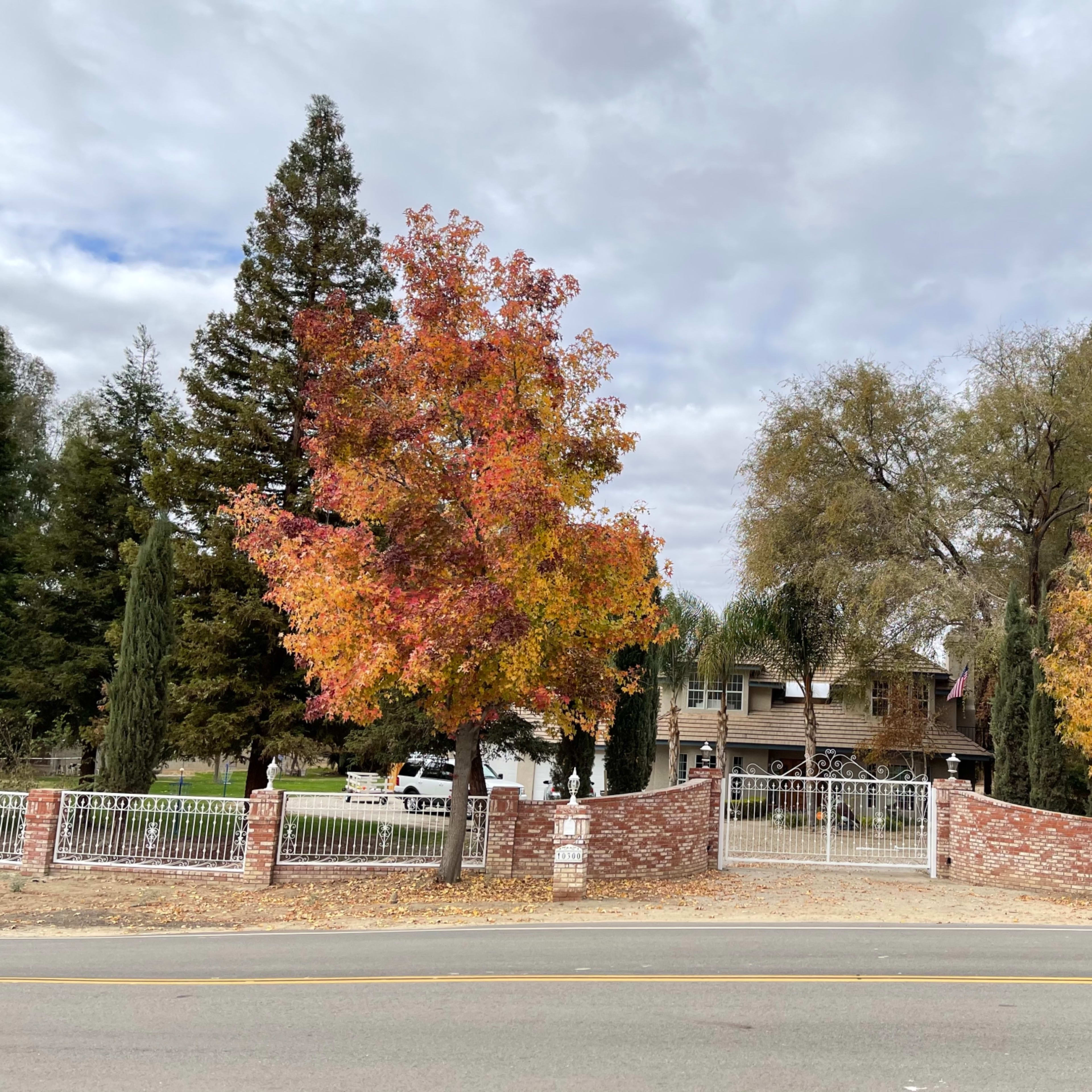 A two-story house with a wooden facade is set behind a brick fence and surrounded by trees displaying autumn foliage.