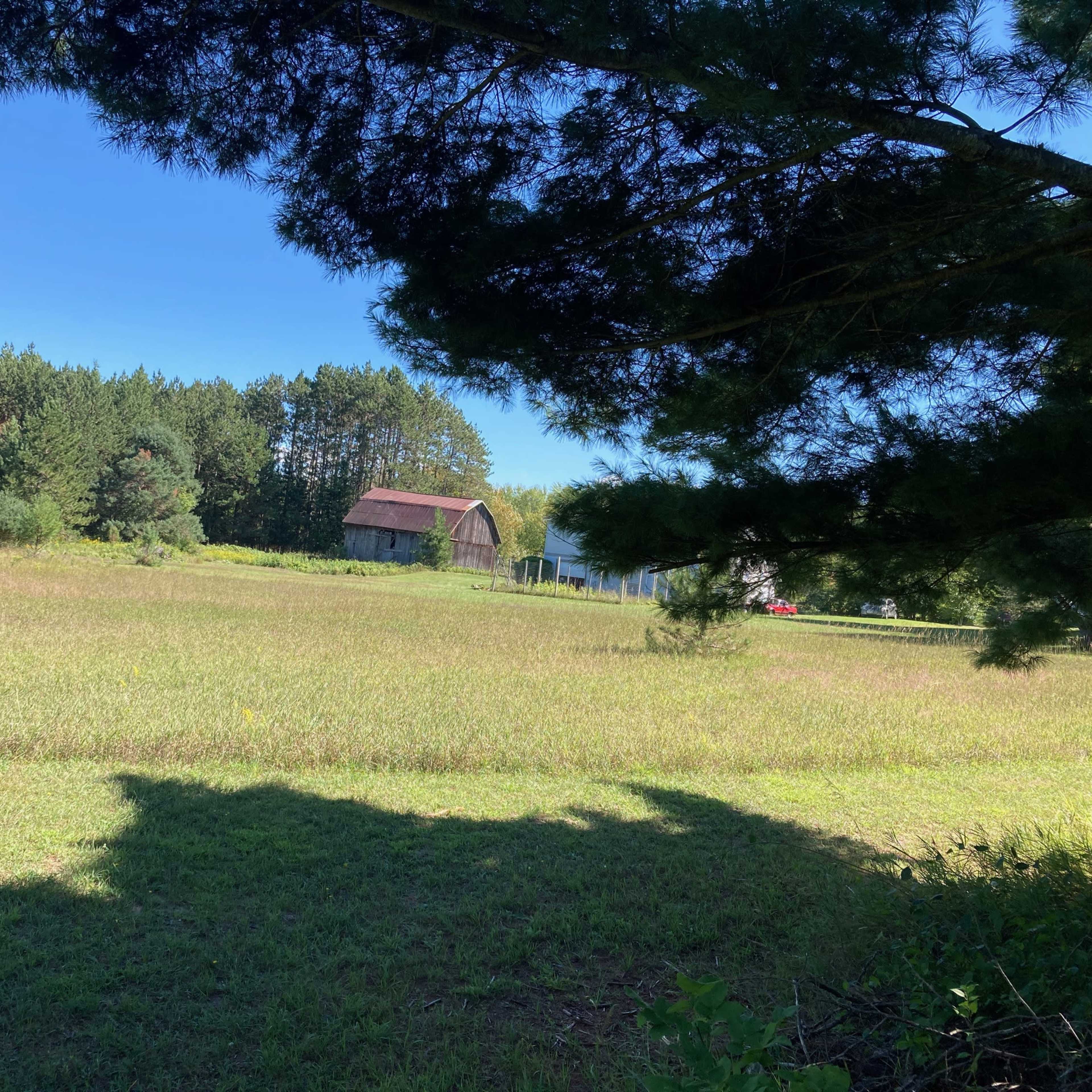Spacious Farmhouse Property Image in Eveline Township, East Jordan, MI