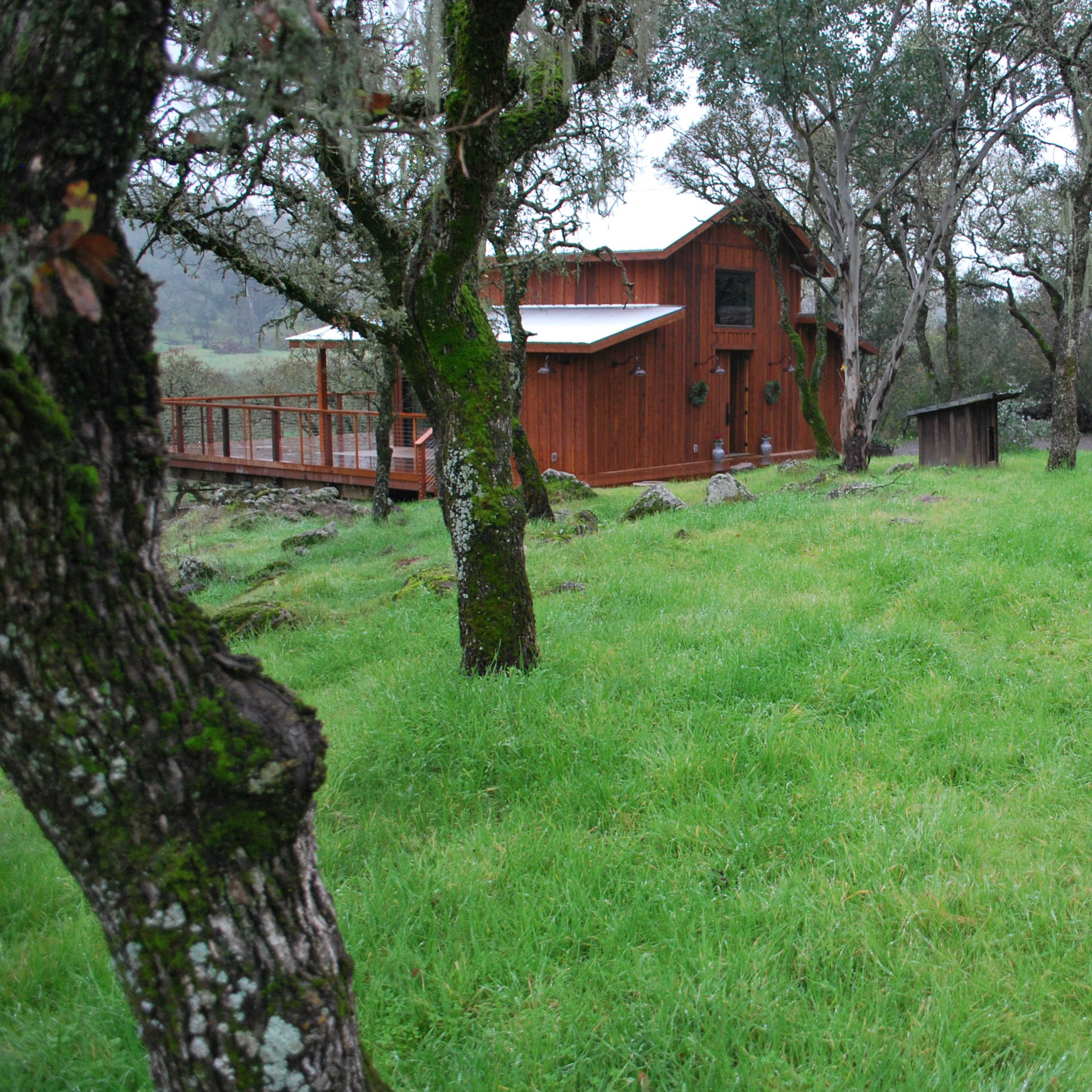 A wooden cabin surrounded by green grass and trees on a rainy day.