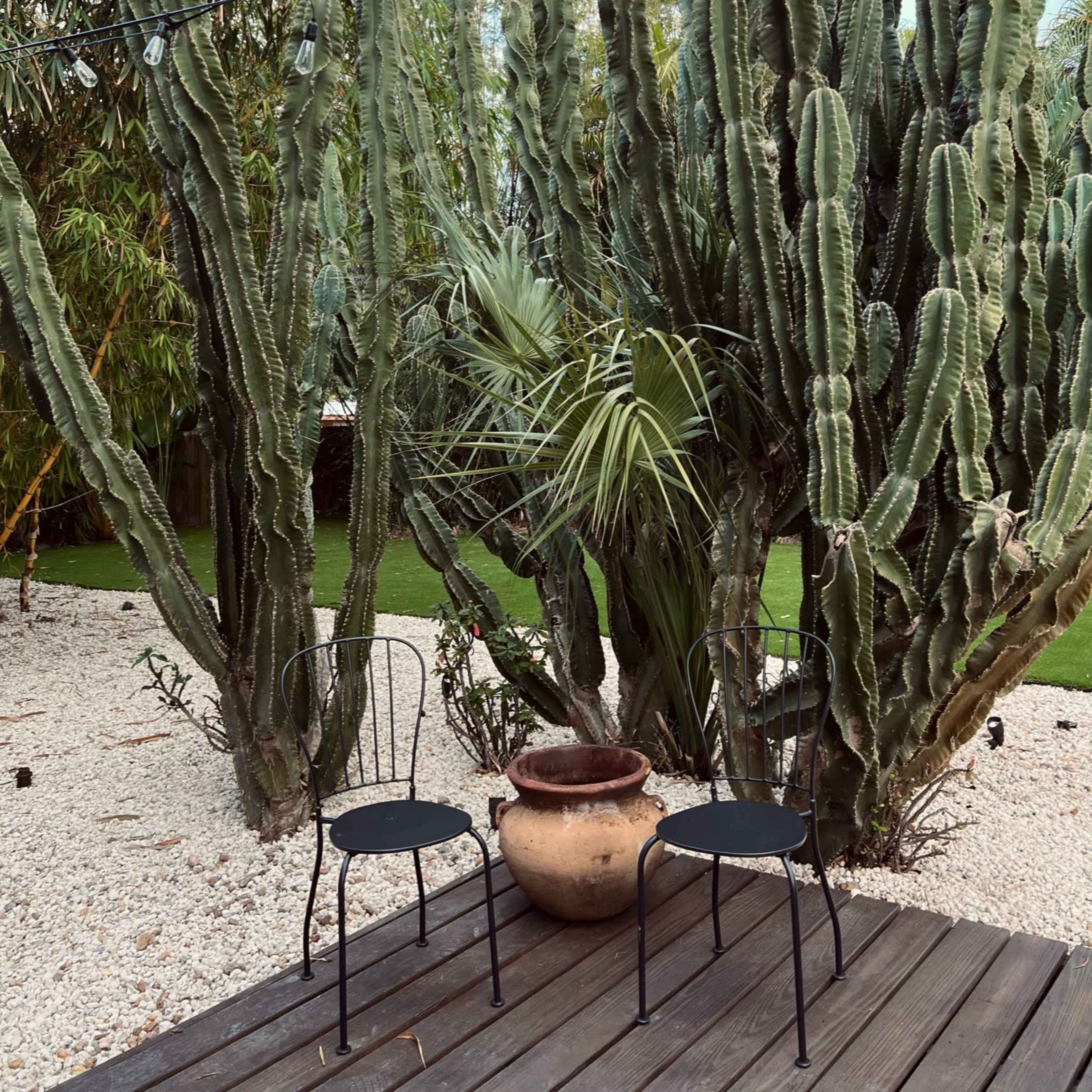 Two black chairs sit on a wooden deck in front of tall cacti and a clay pot in a garden setting.