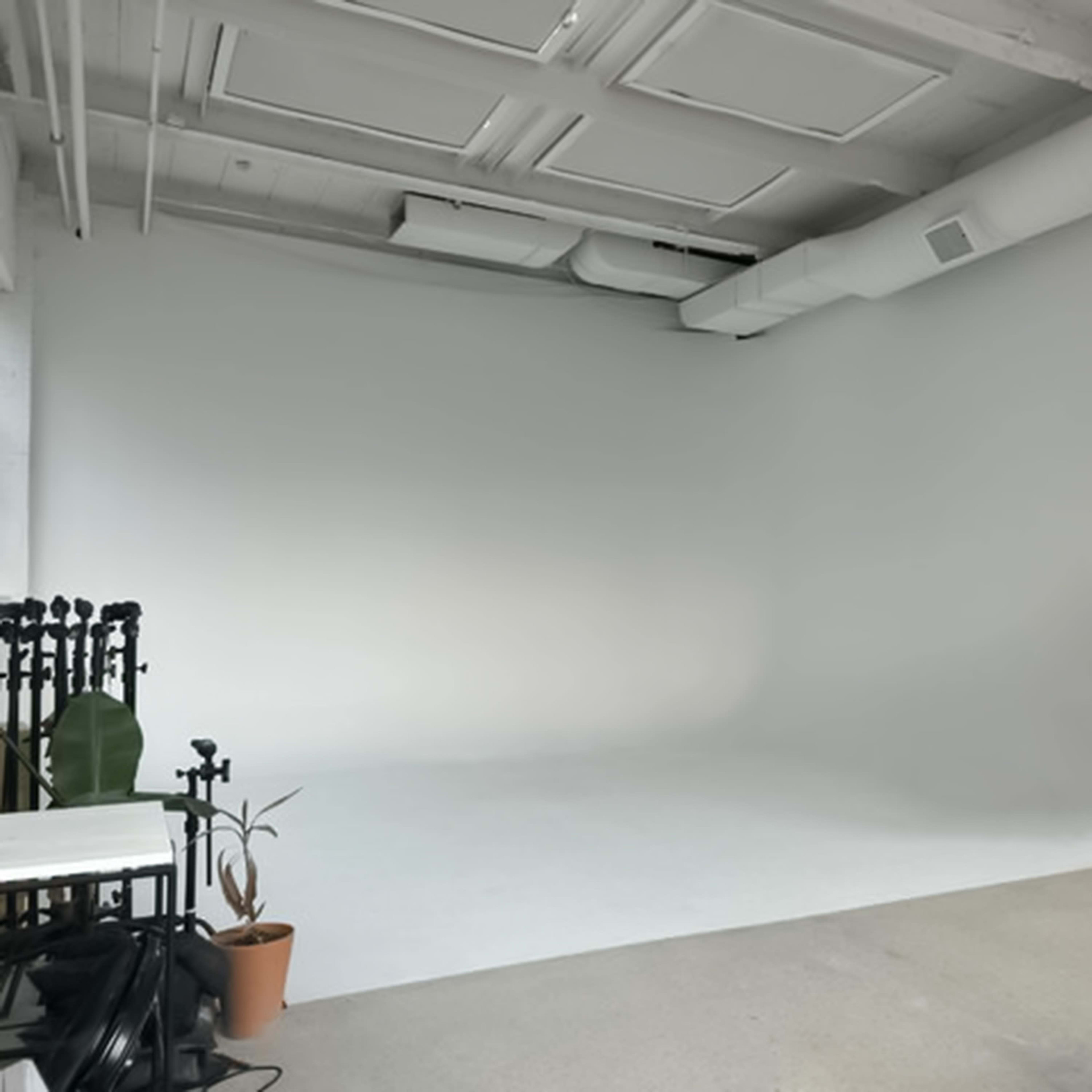 A minimalistic studio space with a white backdrop, a refrigerator, and potted plants in the corner.