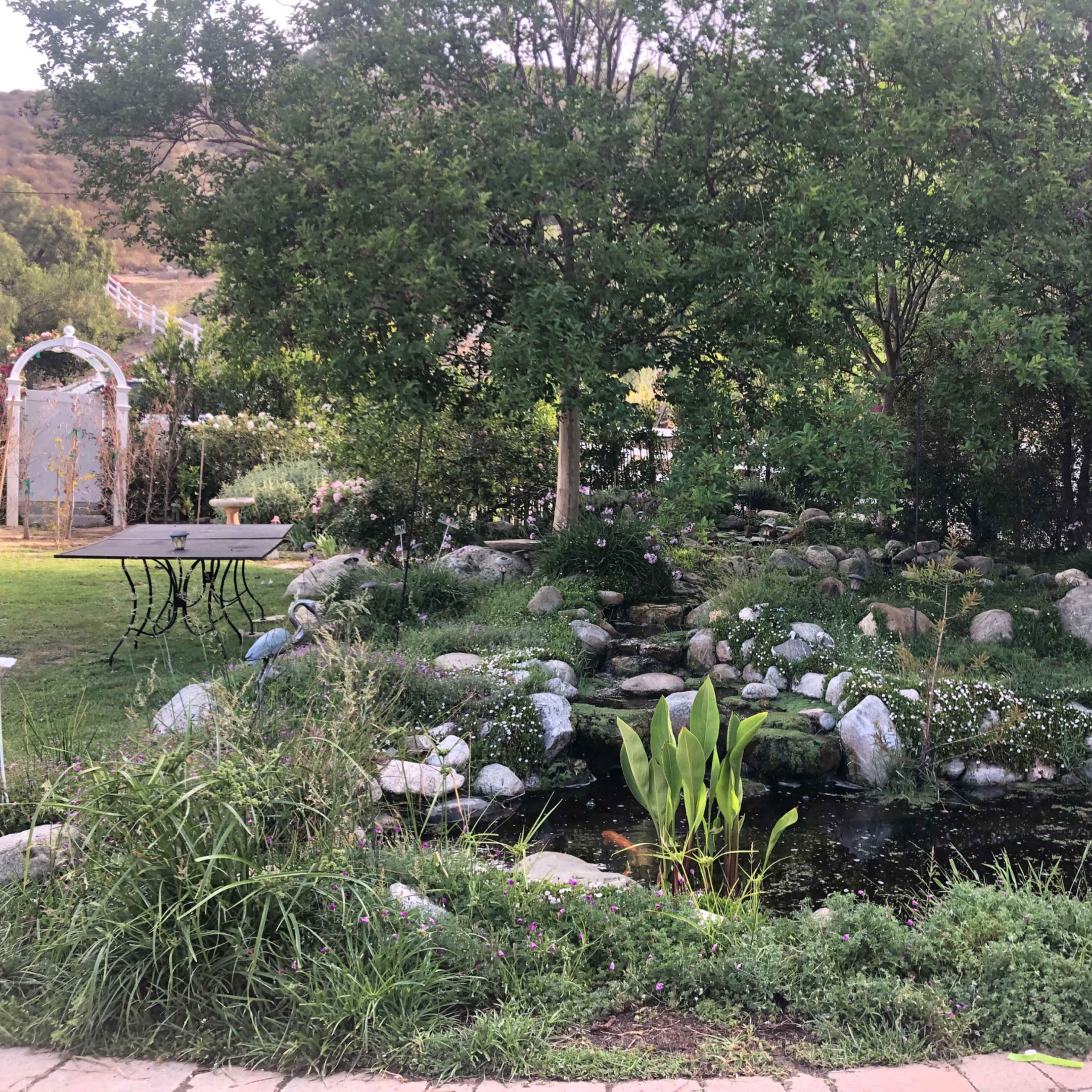 A tranquil garden with a small pond, surrounded by rocks, greenery, and tables for seating.