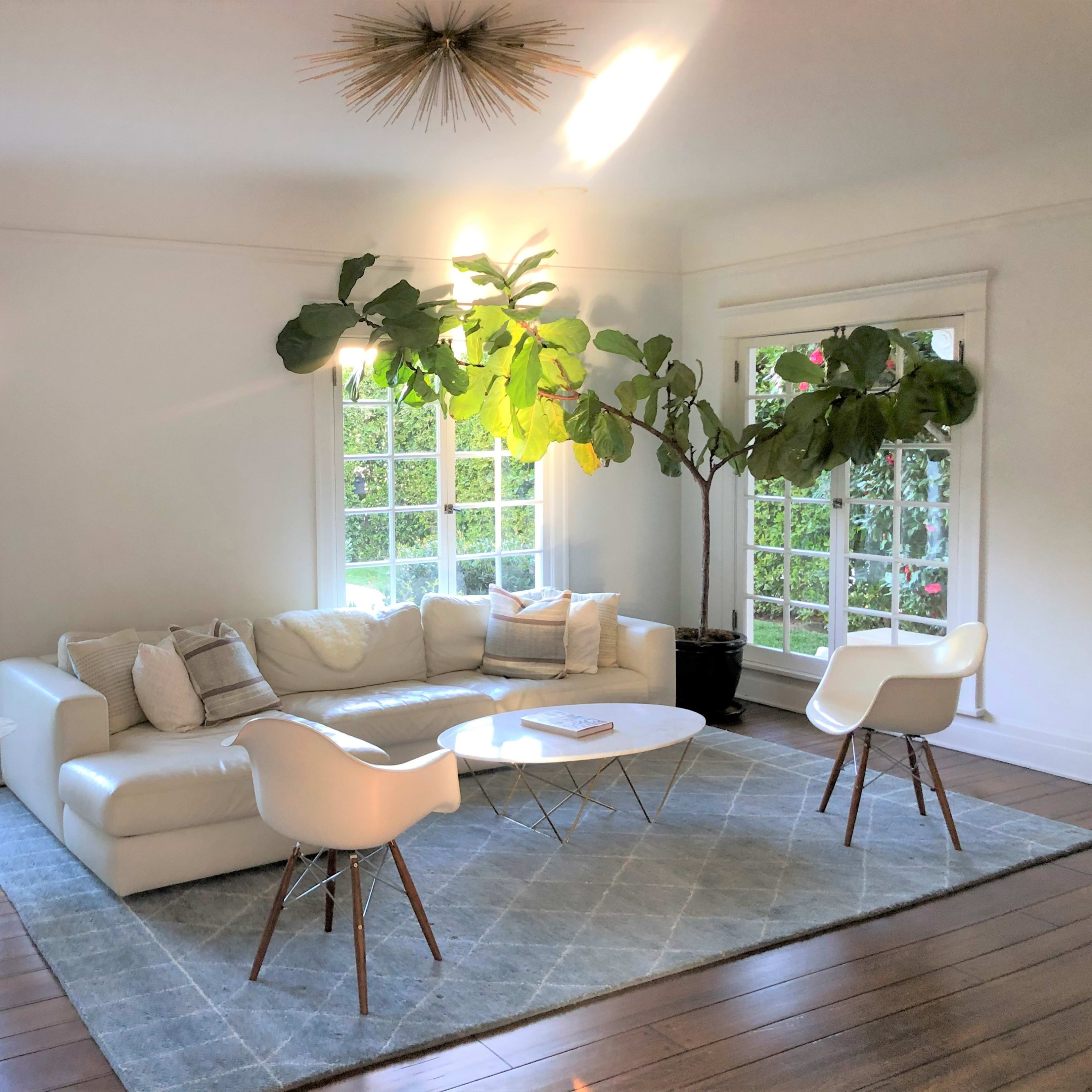 A modern living room featuring a white sectional sofa, two white chairs, a round coffee table, and large windows with green foliage outside.