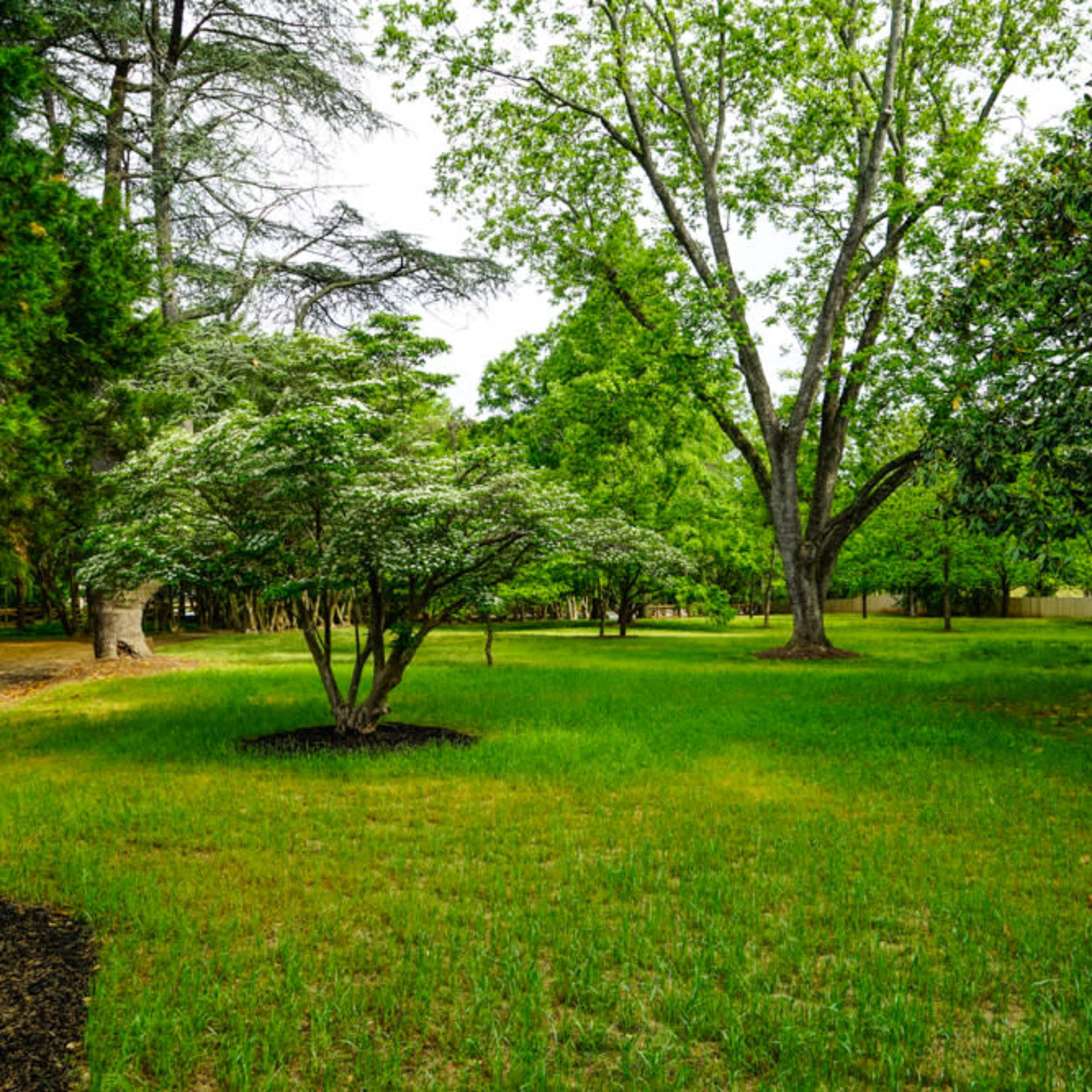 A spacious grassy area is surrounded by various trees and shrubs in a tranquil landscape.