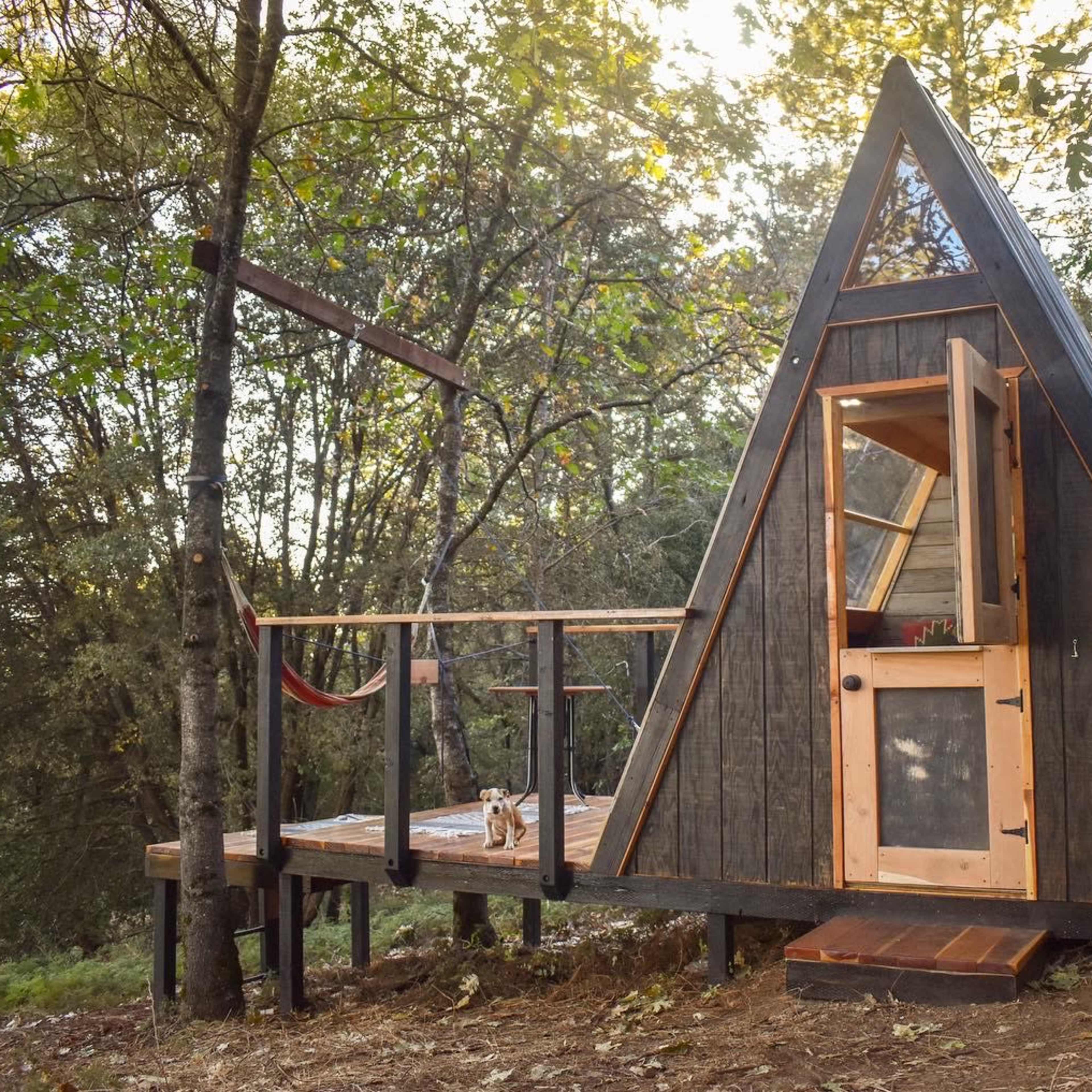 A triangular wooden cabin with an overhanging deck is nestled among trees in a forested setting.
