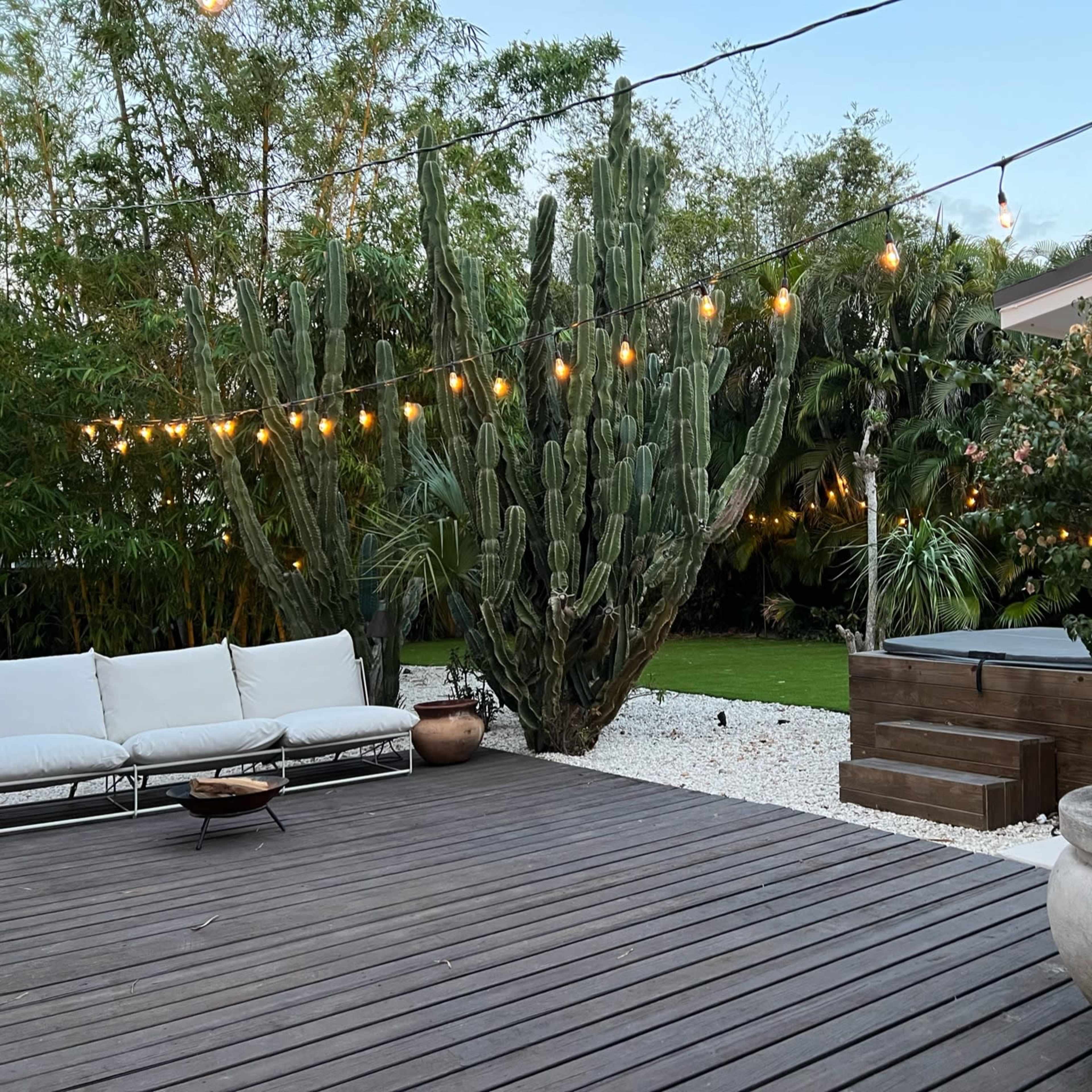 A wooden deck with a seating area, surrounded by lush greenery and cacti, illuminated by string lights above.