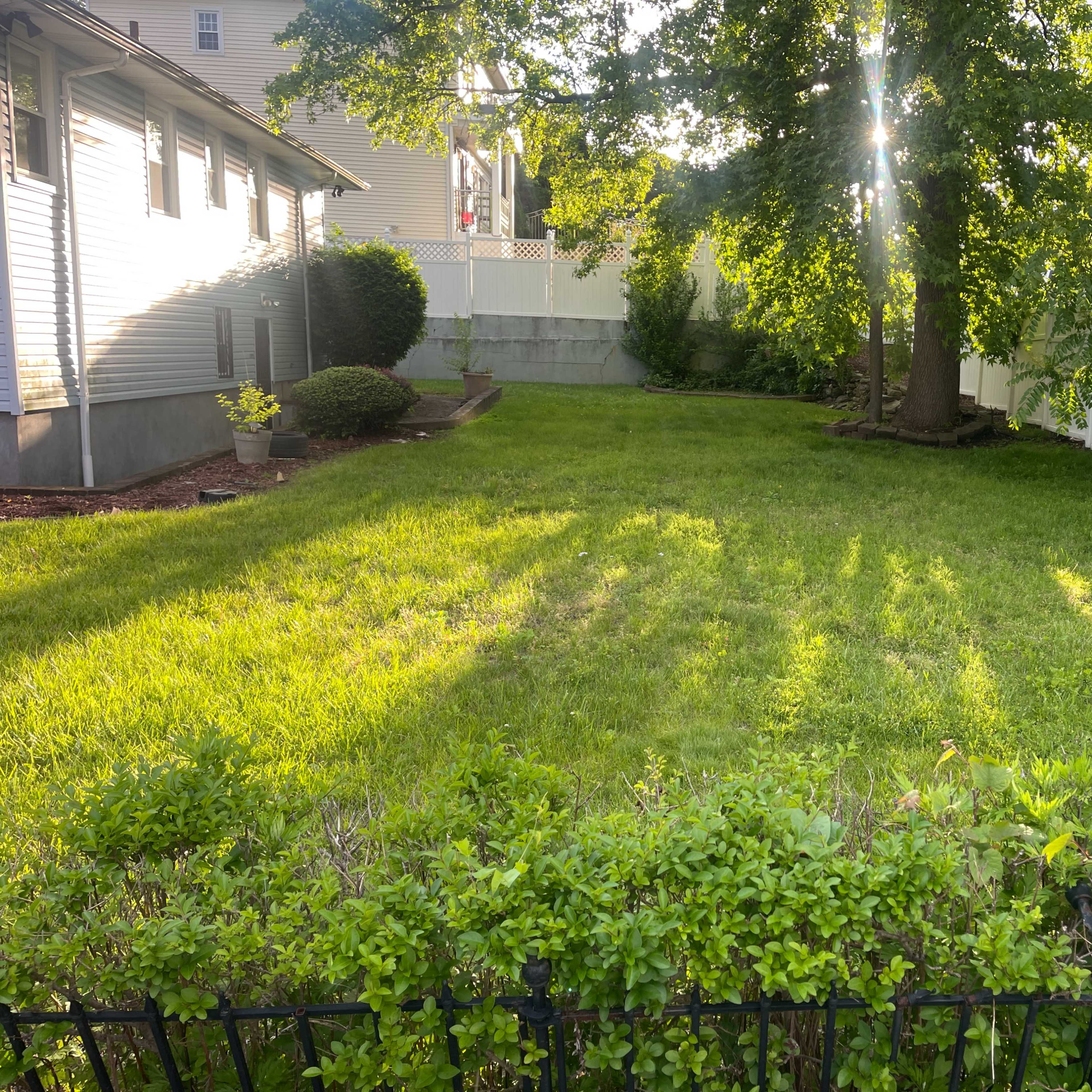 Large Front and Back yard Space Image in Park Hill, Yonkers, NY