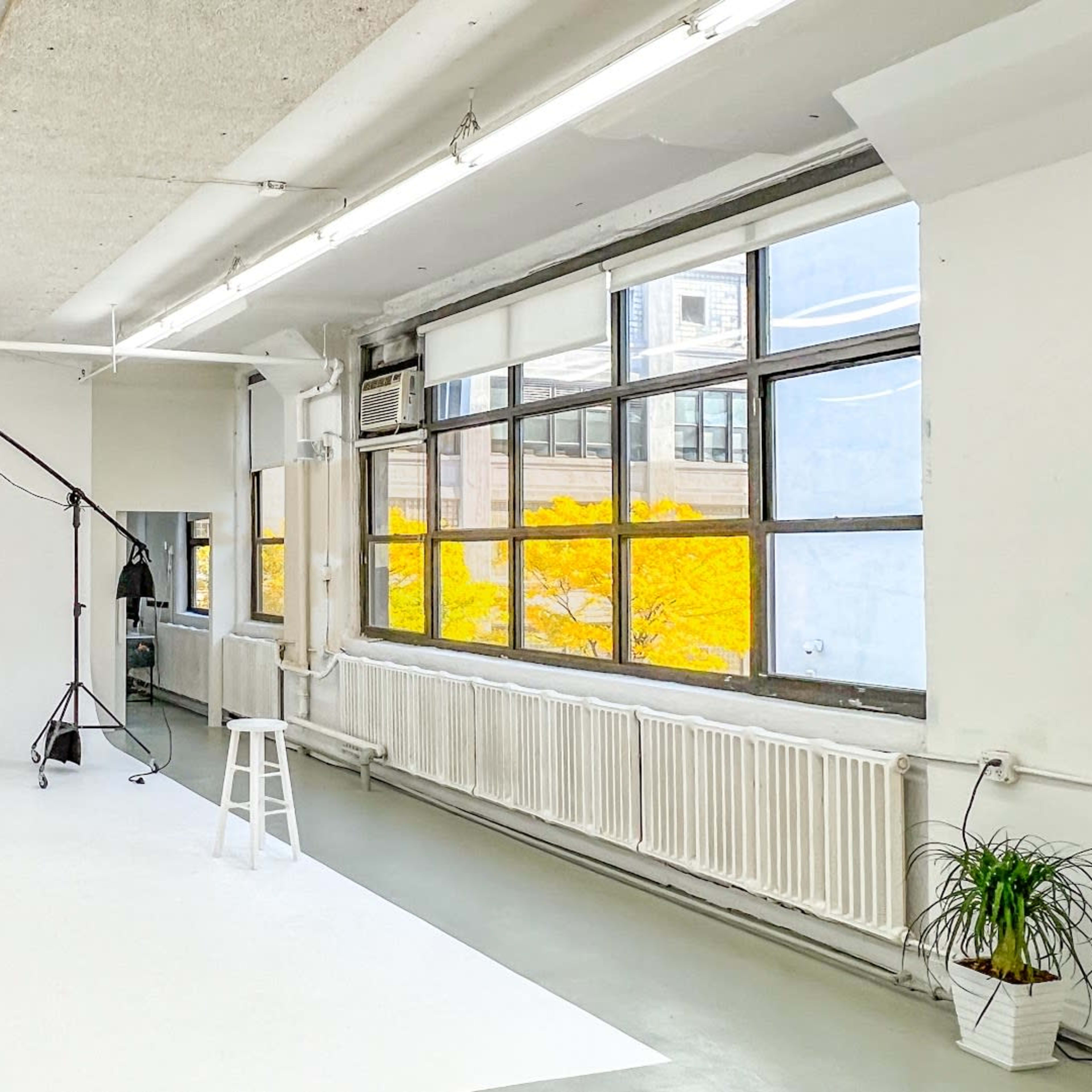 A photography studio features a white backdrop, lighting equipment, and a stool, with large windows revealing an autumn landscape outside.