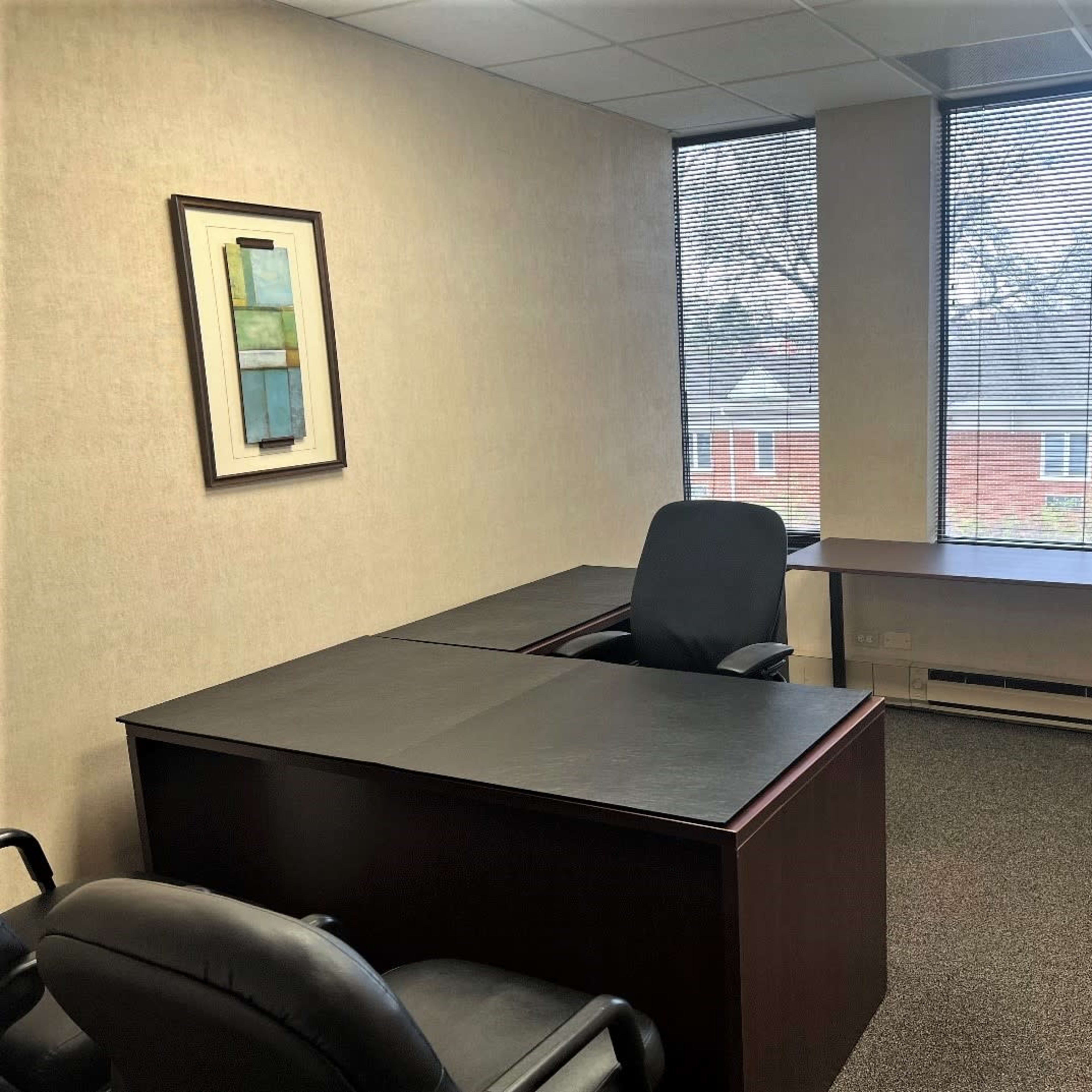 A vacant office space with two desks, black office chairs, and a decorative plant near a window.