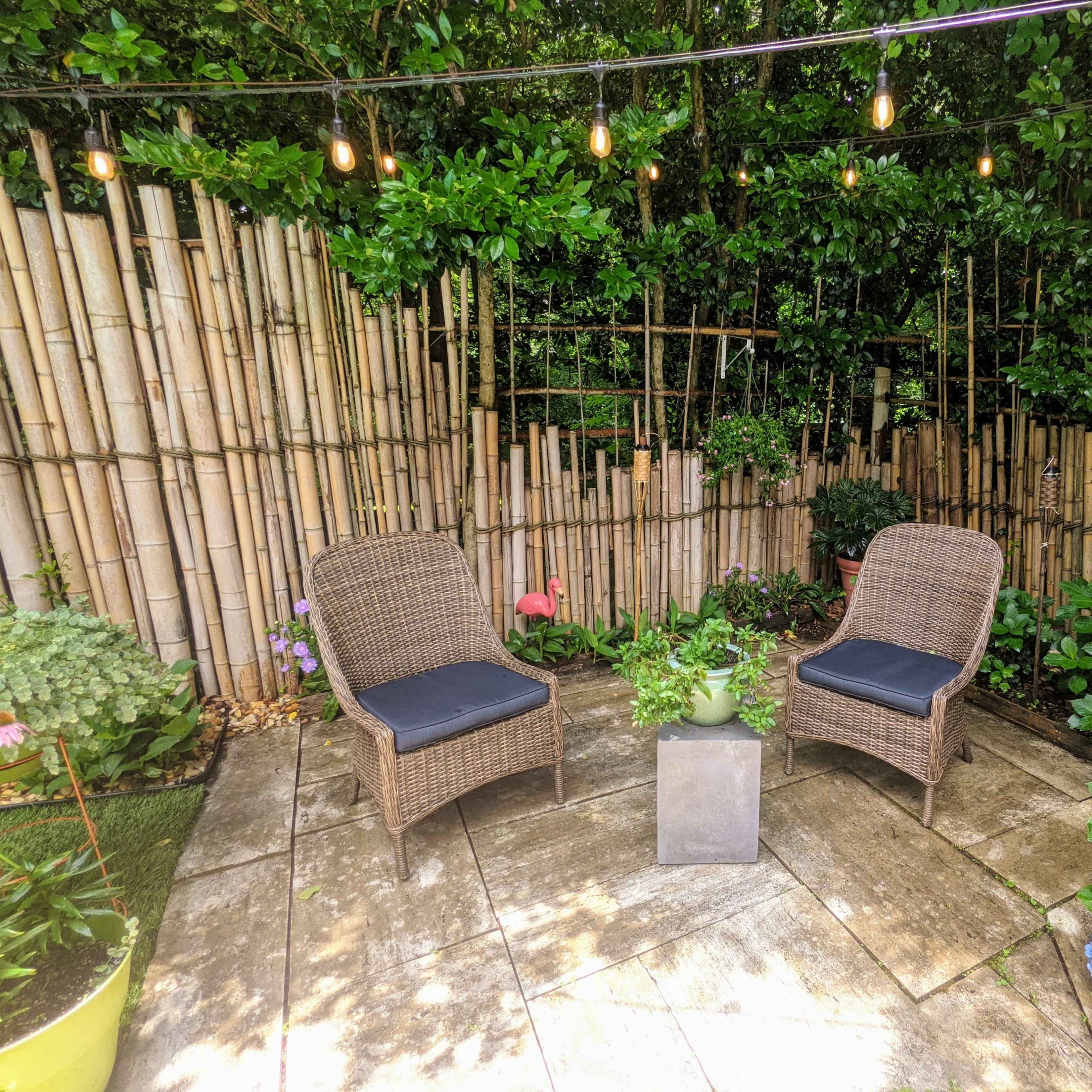 A cozy garden space features two wicker chairs facing each other around a small planter, surrounded by lush greenery and bamboo fencing.