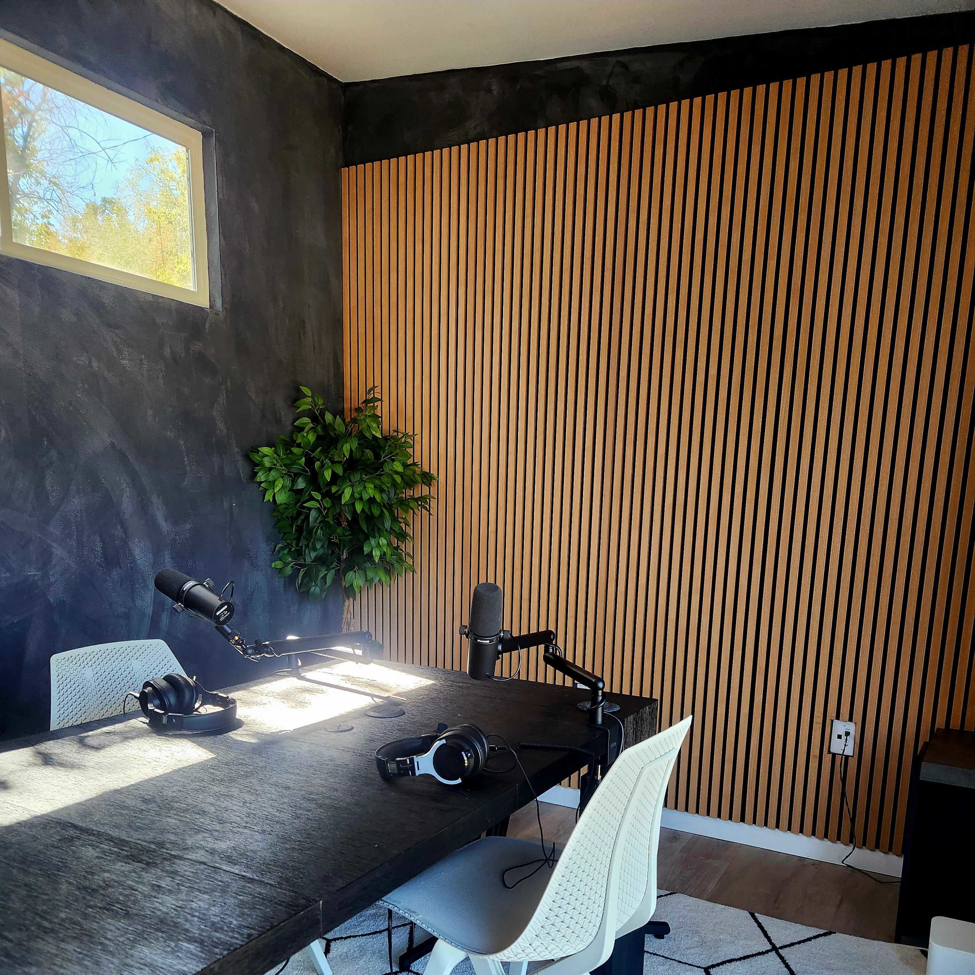Podcast Studio located in the heart of Austin's Travis Heights neighborhood. Image in South River City, Austin, TX
