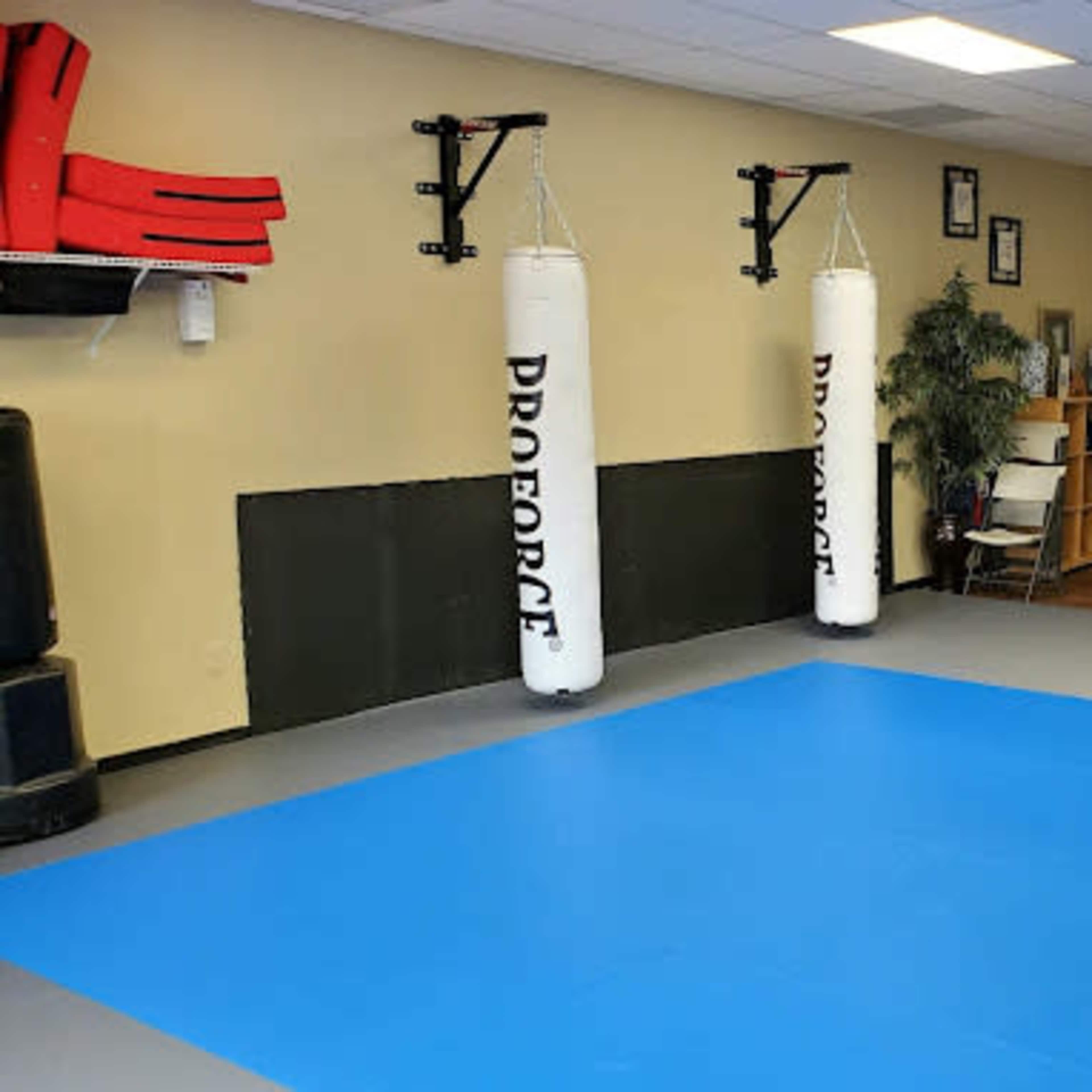 Fitness Studio with Mats Available in the Edison Clara Barton Downtown Area Image in Edison, Edison, NJ